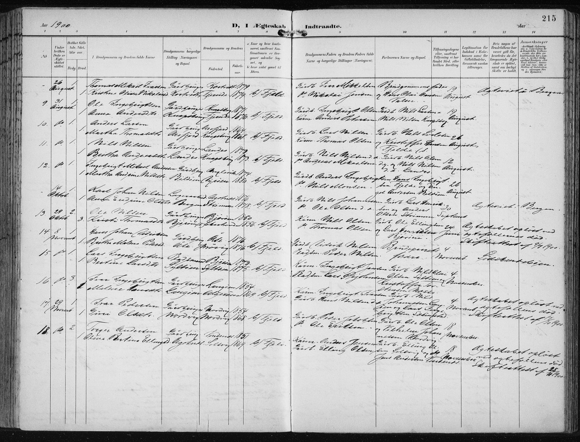 Fjell sokneprestembete, SAB/A-75301/H/Haa: Parish register (official) no. A  9, 1899-1910, p. 215