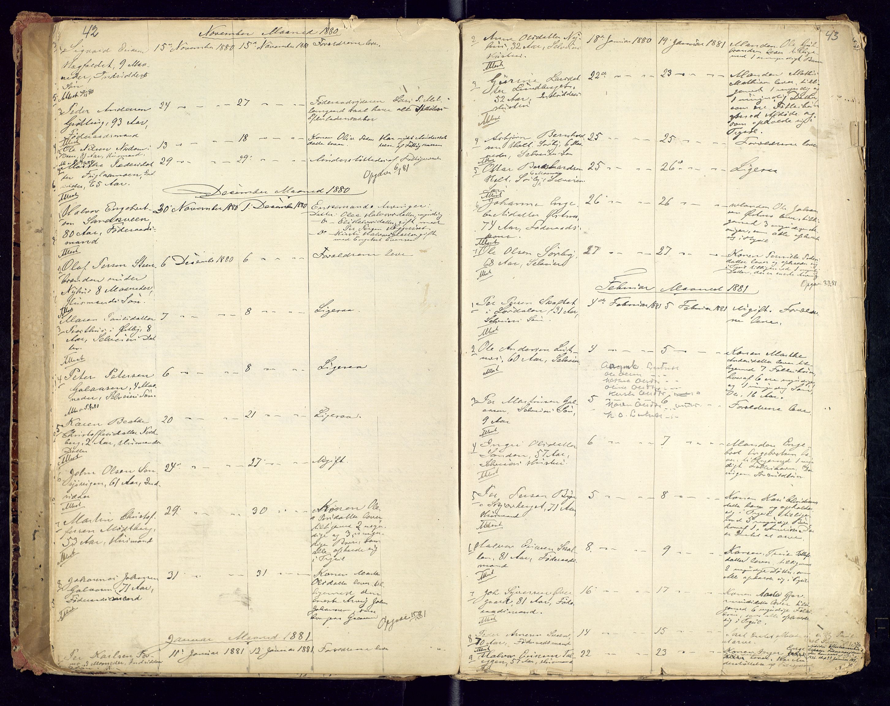 Trysil lensmannskontor, AV/SAH-LHT-026/H/Ha/L0001: Dødsfallsprotokoll, 1875-1901, p. 42-43