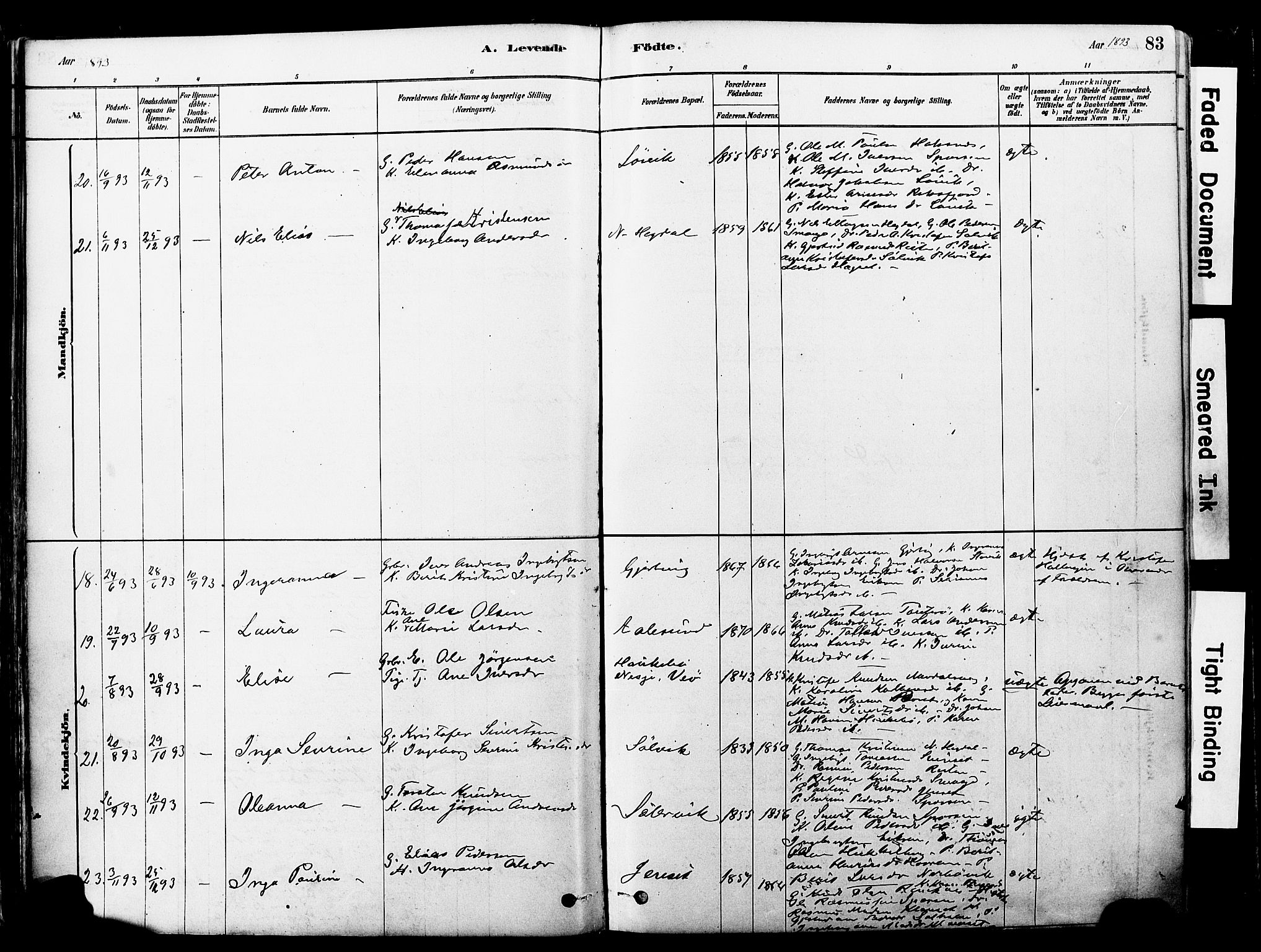 Ministerialprotokoller, klokkerbøker og fødselsregistre - Møre og Romsdal, SAT/A-1454/560/L0721: Parish register (official) no. 560A05, 1878-1917, p. 83
