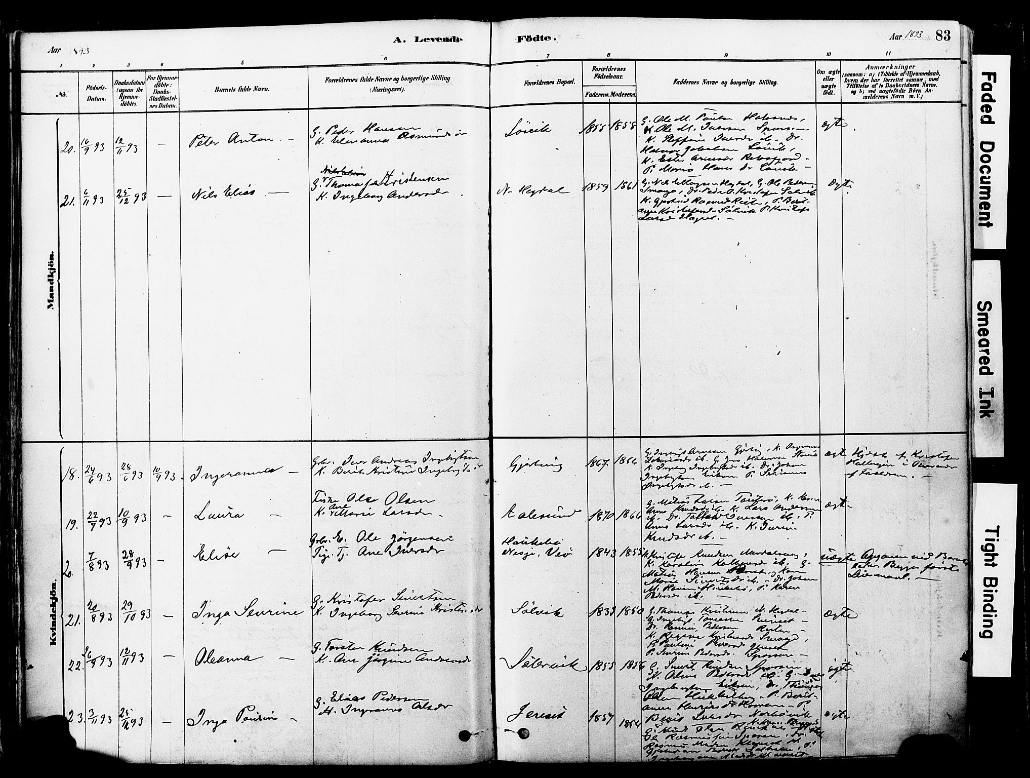 Ministerialprotokoller, klokkerbøker og fødselsregistre - Møre og Romsdal, AV/SAT-A-1454/560/L0721: Parish register (official) no. 560A05, 1878-1917, p. 83