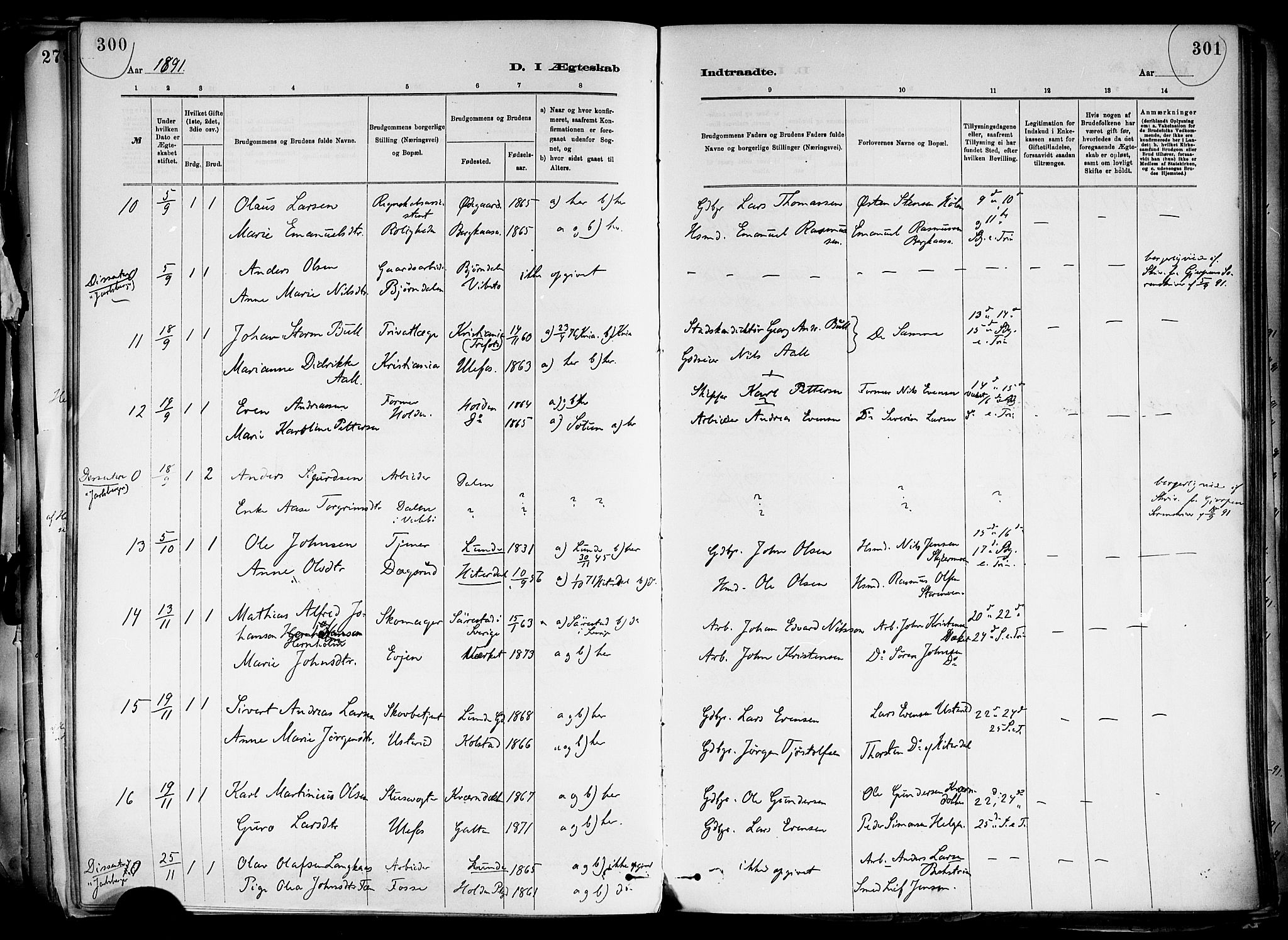Holla kirkebøker, SAKO/A-272/F/Fa/L0008: Parish register (official) no. 8, 1882-1897, p. 300