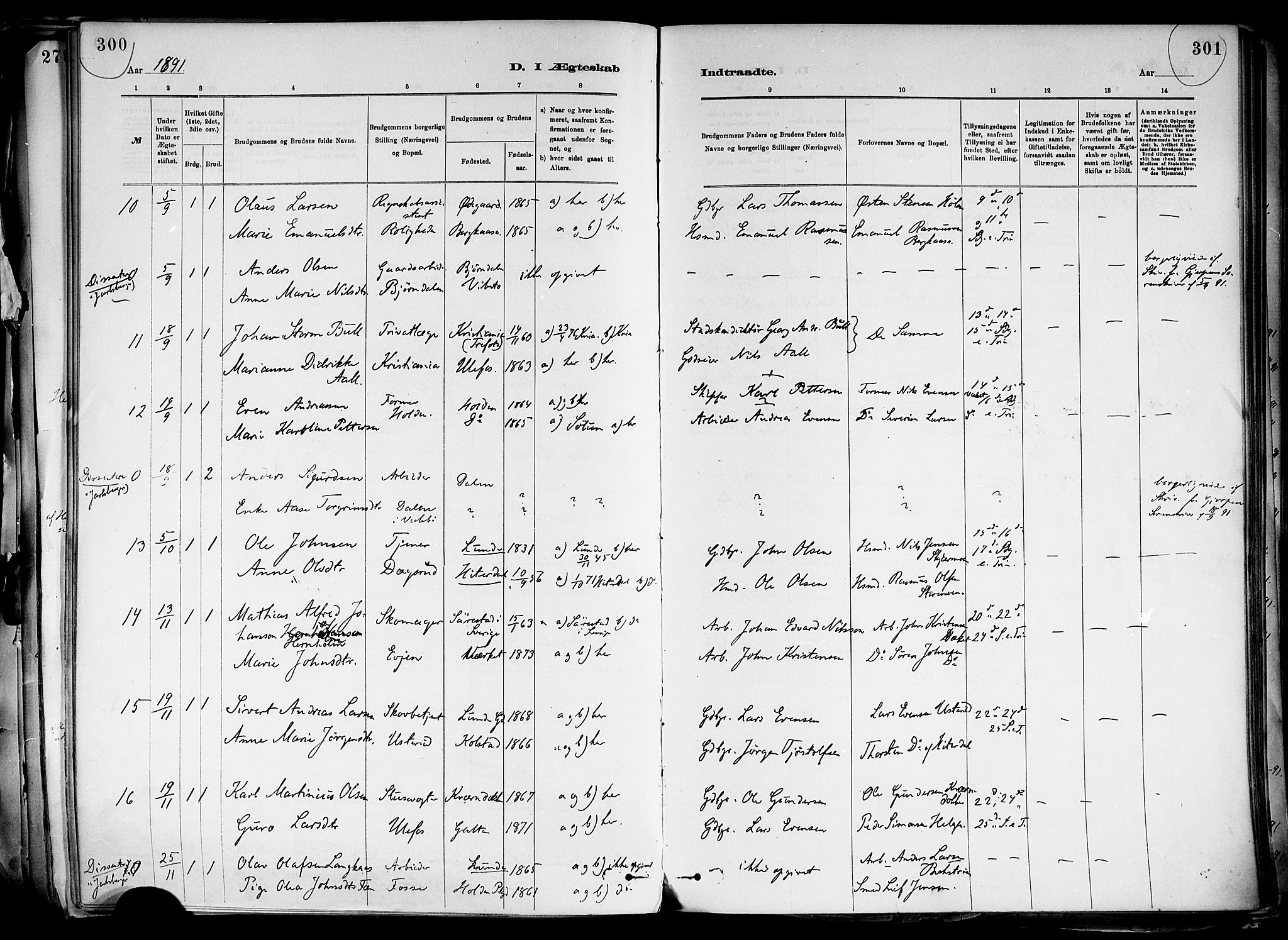 Holla kirkebøker, AV/SAKO-A-272/F/Fa/L0008: Parish register (official) no. 8, 1882-1897, p. 300