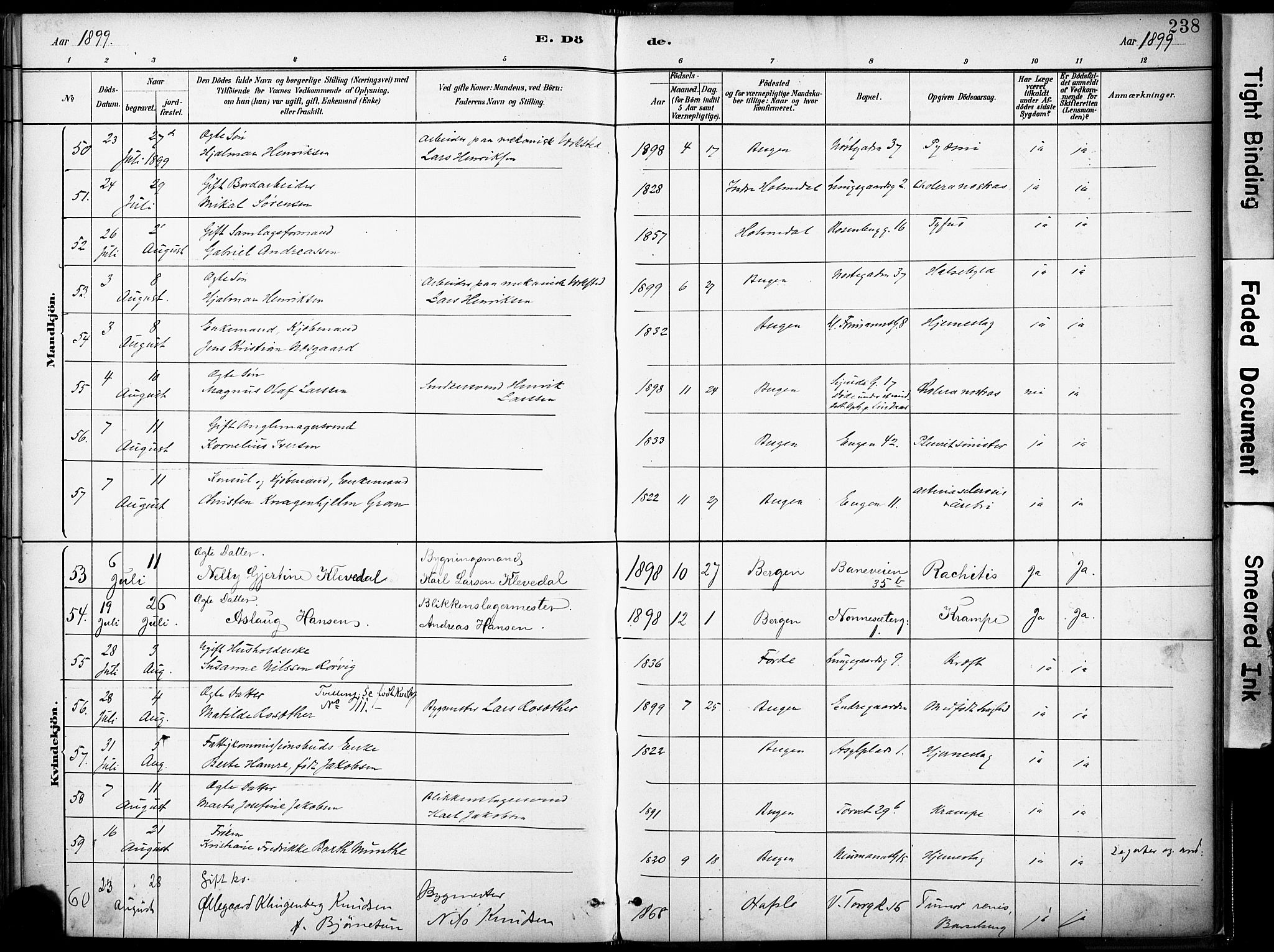 Domkirken sokneprestembete, AV/SAB-A-74801/H/Haa/L0043: Parish register (official) no. E 5, 1882-1904, p. 238