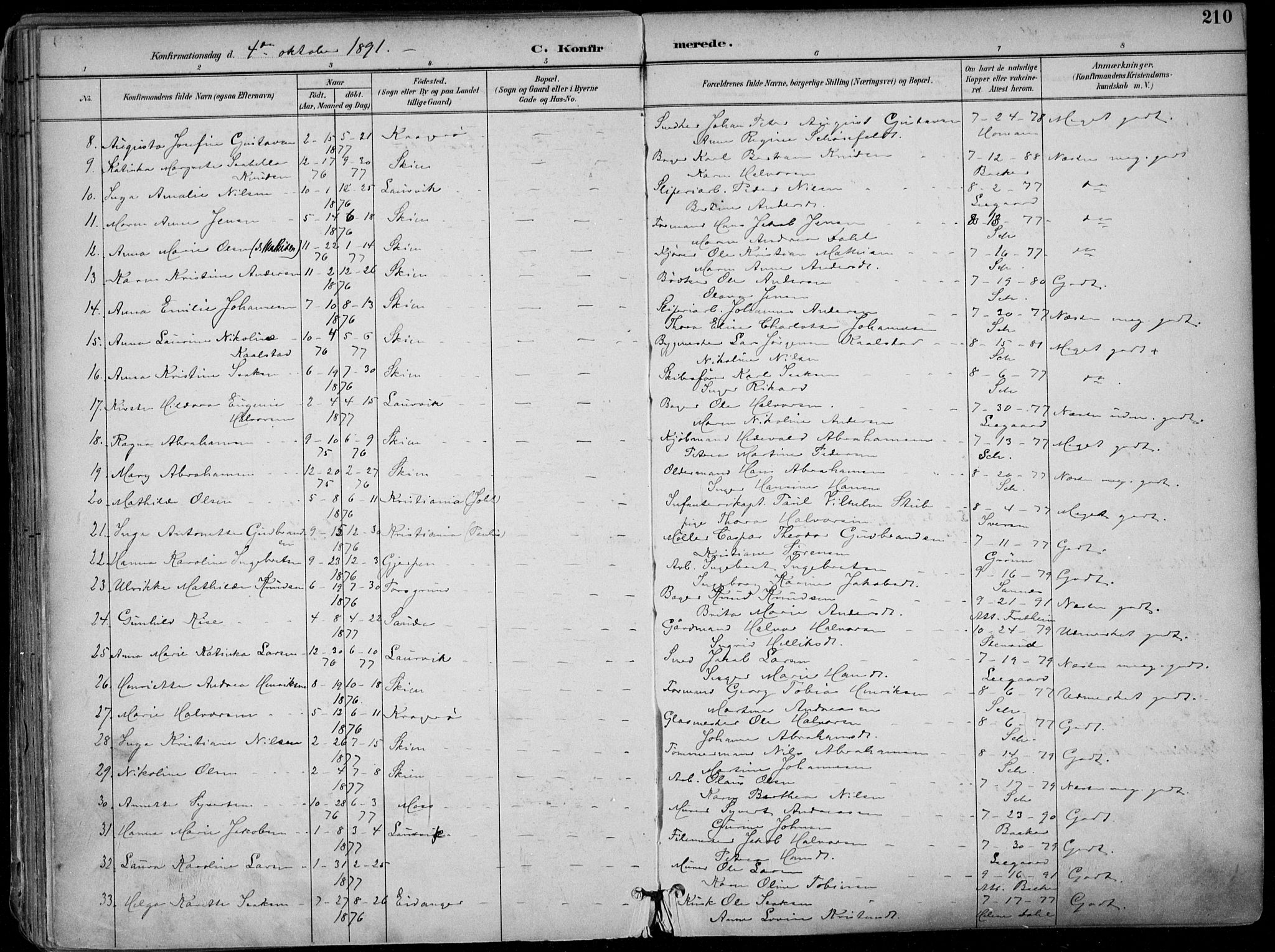 Skien kirkebøker, SAKO/A-302/F/Fa/L0010: Parish register (official) no. 10, 1891-1899, p. 210