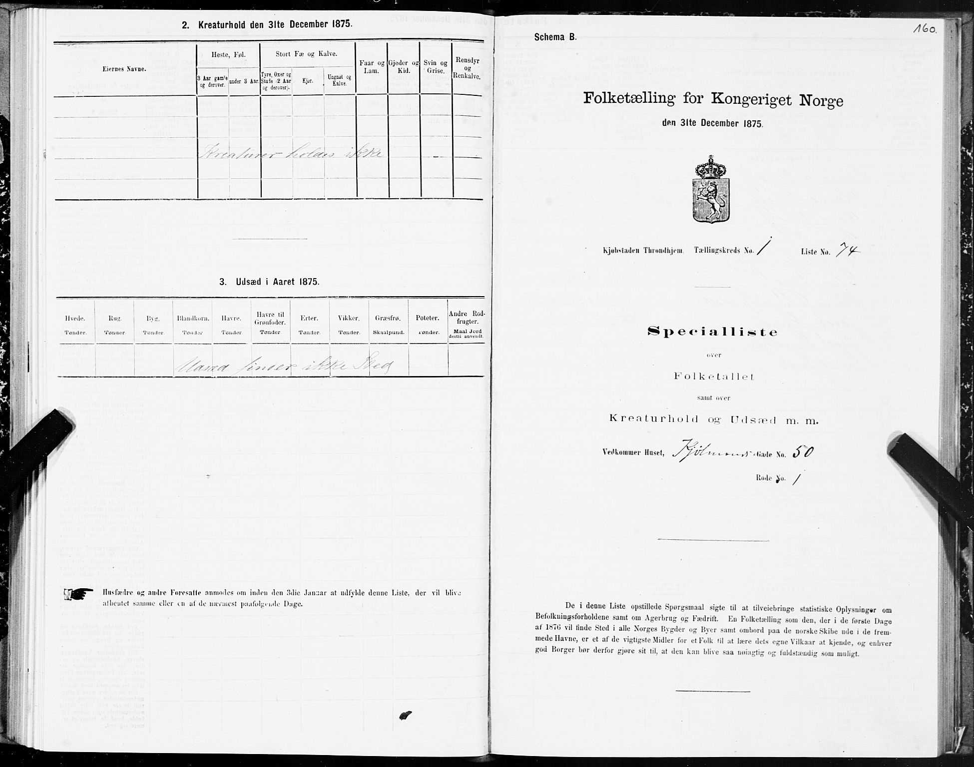 SAT, 1875 census for 1601 Trondheim, 1875, p. 1160