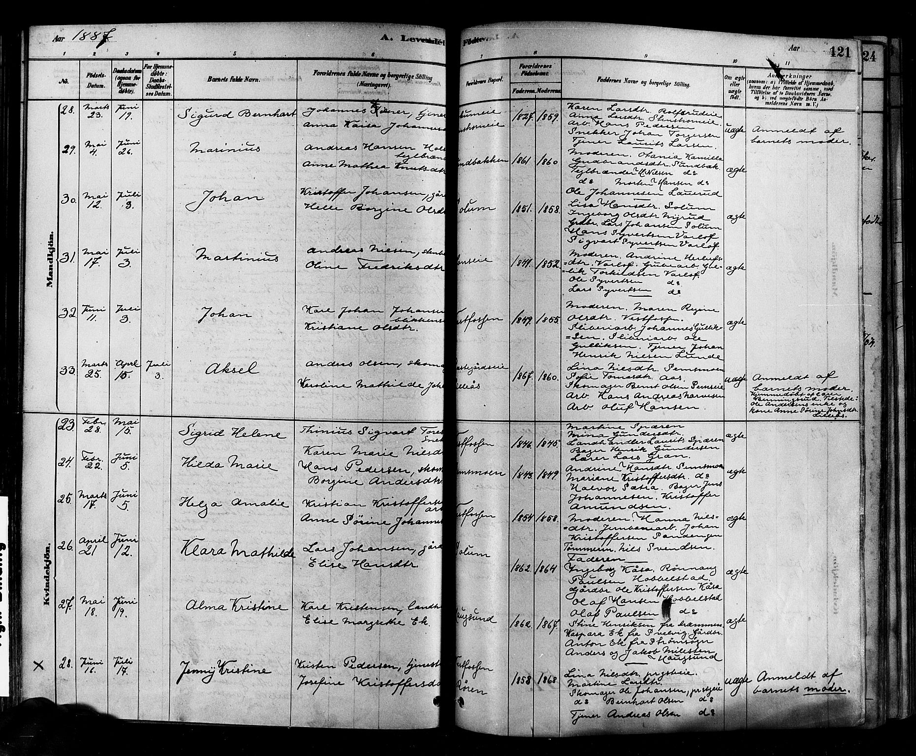 Eiker kirkebøker, AV/SAKO-A-4/F/Fb/L0001: Parish register (official) no. II 1, 1878-1888, p. 121