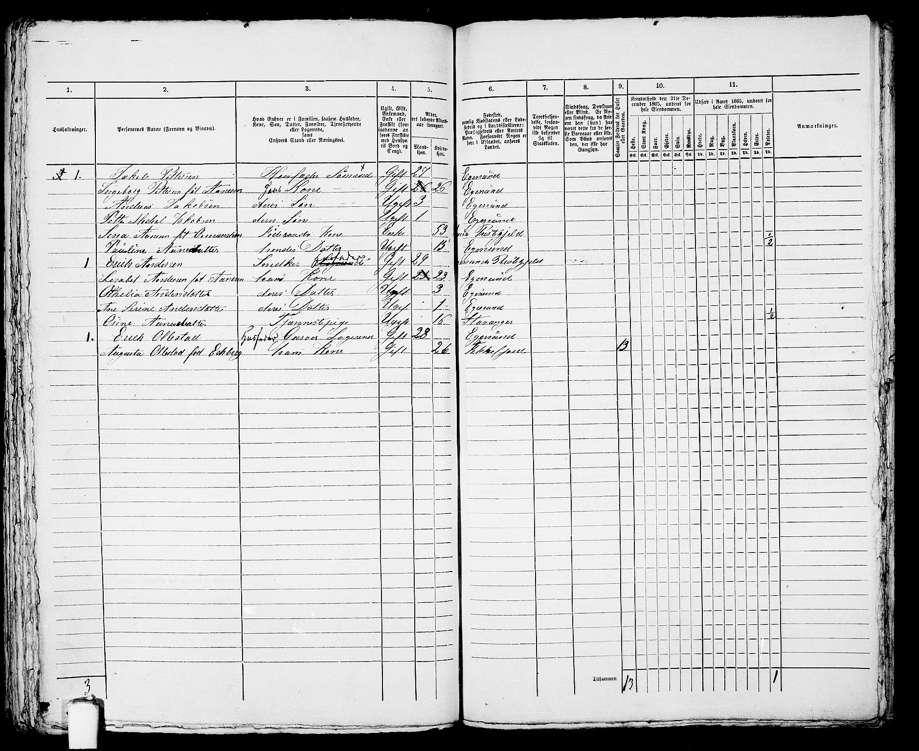 RA, 1865 census for Eigersund parish, Egersund town, 1865, p. 450