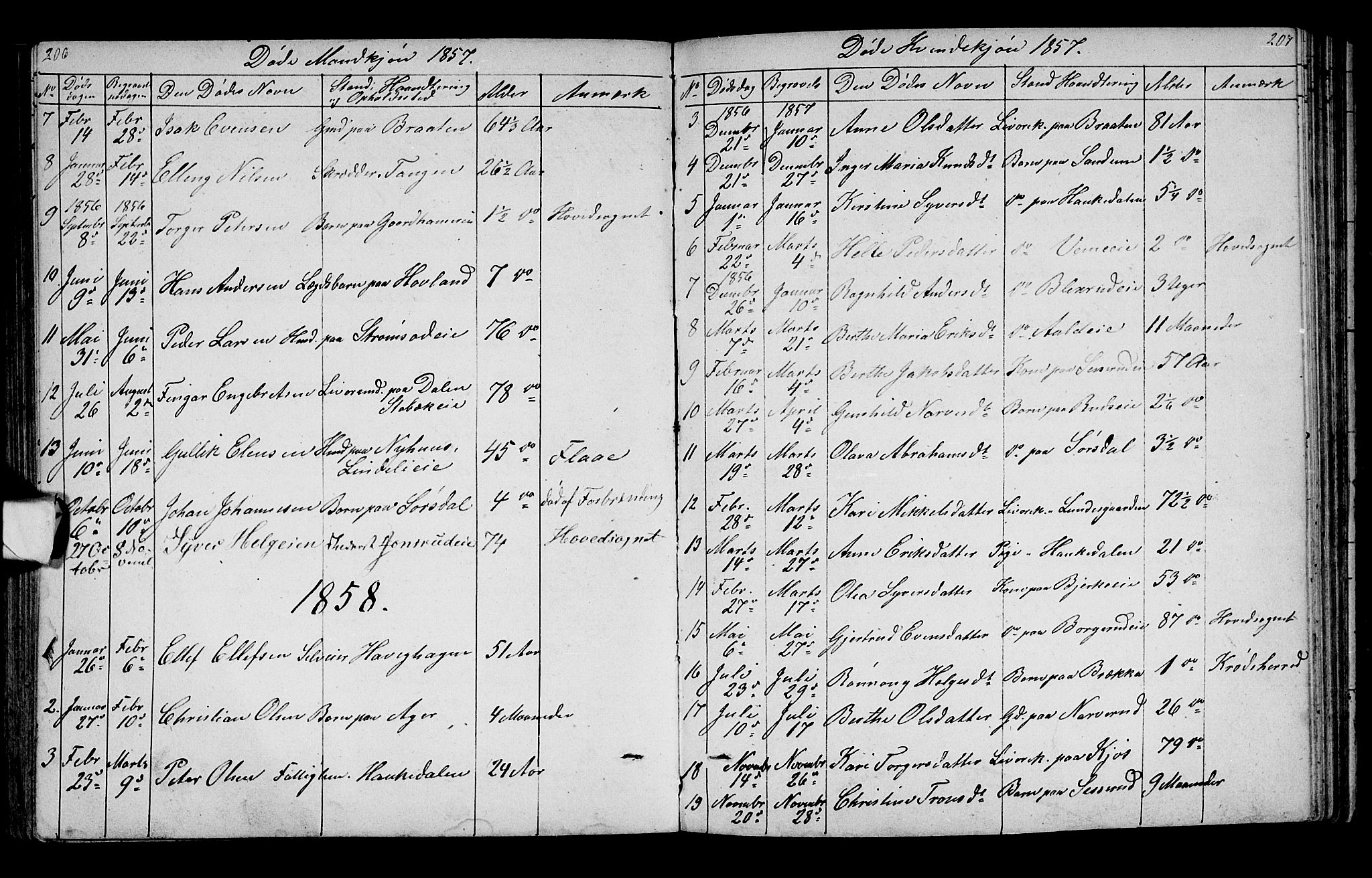 Lunder kirkebøker, SAKO/A-629/G/Ga/L0002: Parish register (copy) no. I 2, 1849-1868, p. 206-207