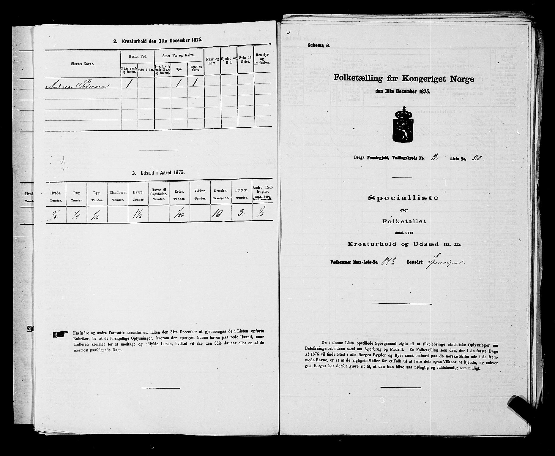 RA, 1875 census for 0116P Berg, 1875, p. 290