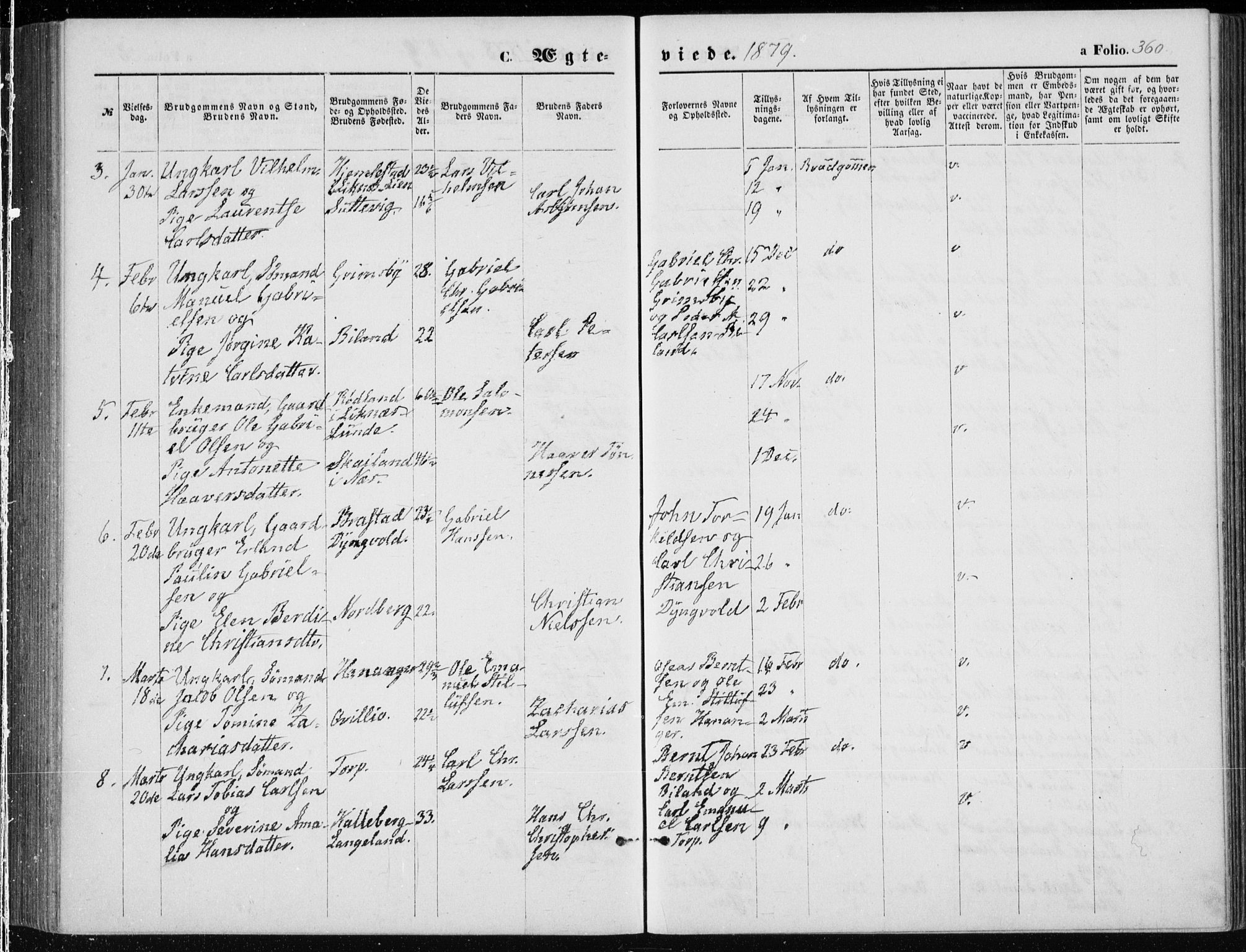 Lista sokneprestkontor, AV/SAK-1111-0027/F/Fb/L0004: Parish register (copy) no. B 4, 1877-1891, p. 360