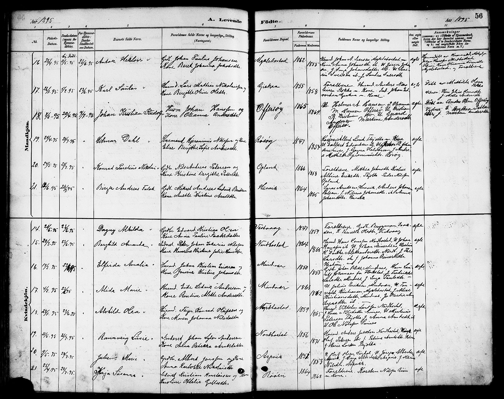 Ministerialprotokoller, klokkerbøker og fødselsregistre - Nordland, AV/SAT-A-1459/817/L0268: Parish register (copy) no. 817C03, 1884-1920, p. 56