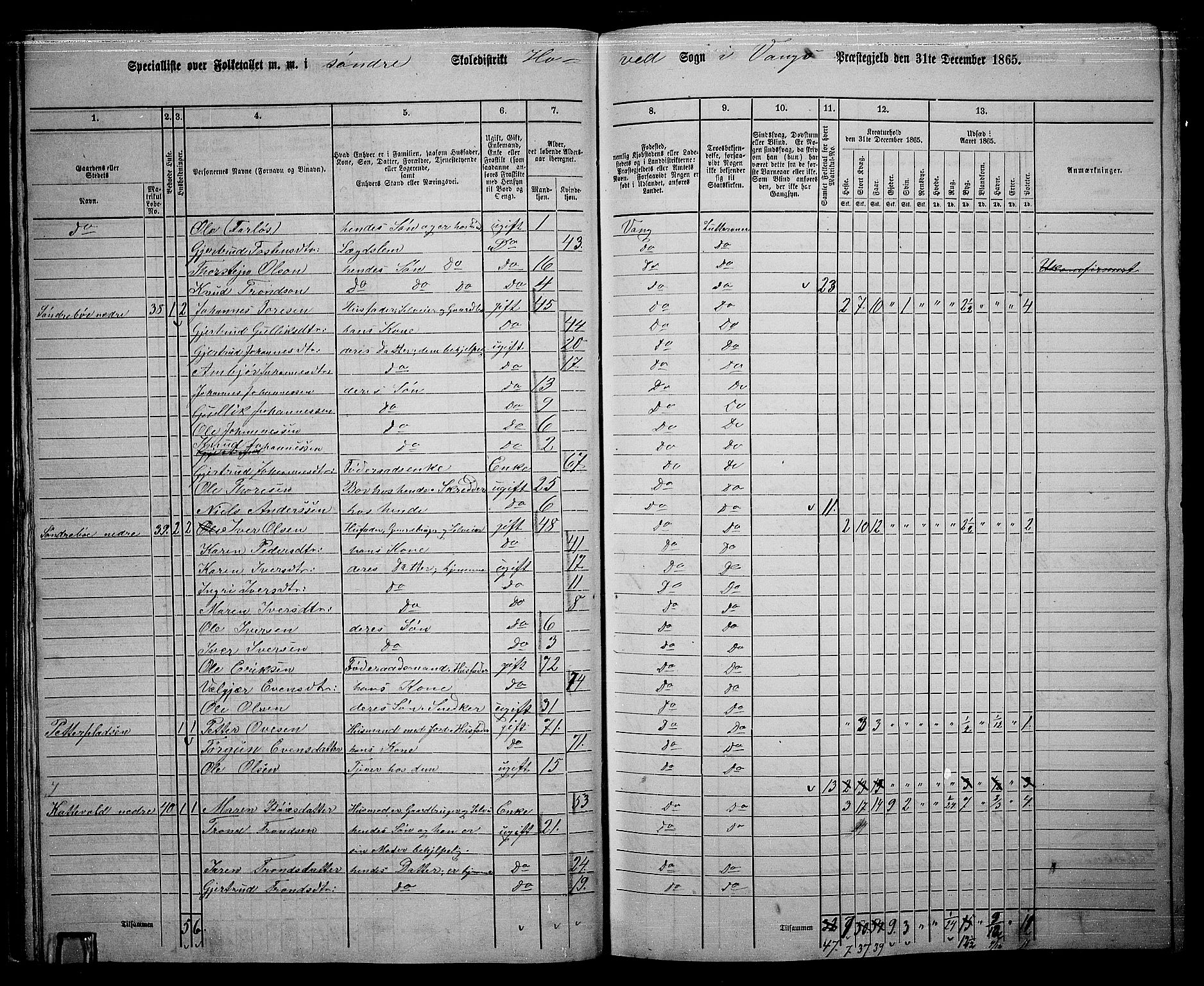 RA, 1865 census for Vang, 1865, p. 35