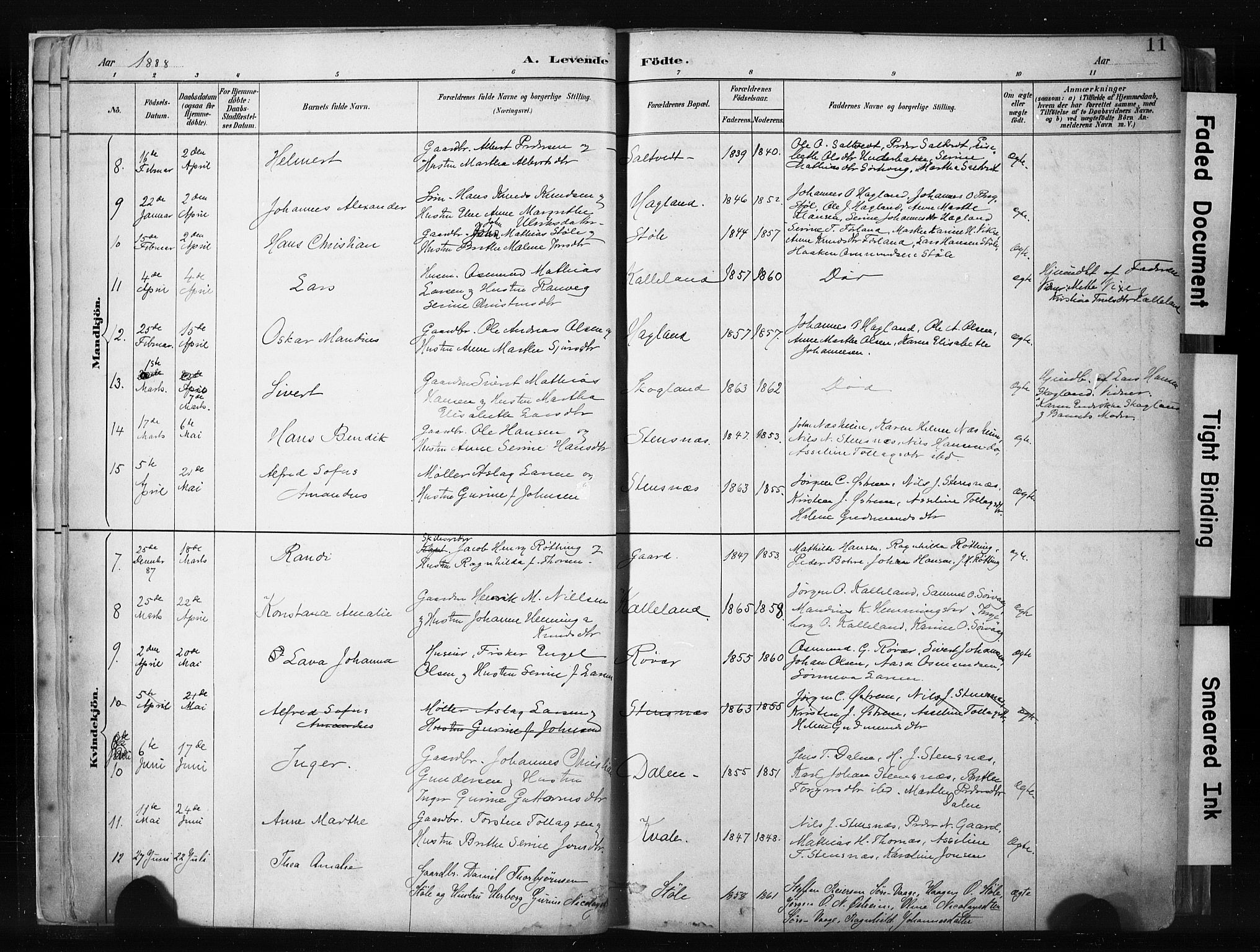 Haugesund sokneprestkontor, SAST/A -101863/H/Ha/Haa/L0004: Parish register (official) no. A 4, 1886-1908, p. 11