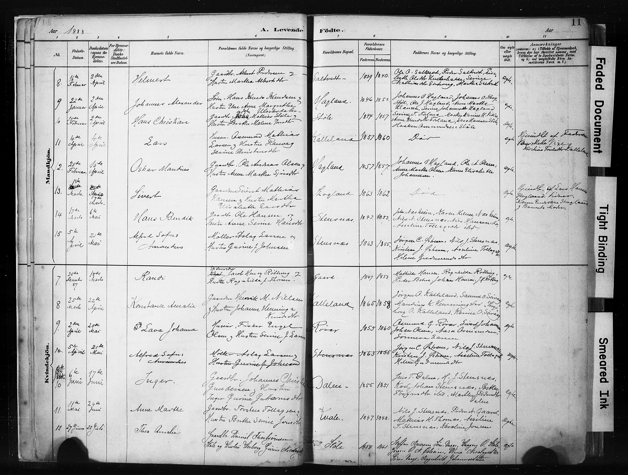 Haugesund sokneprestkontor, AV/SAST-A -101863/H/Ha/Haa/L0004: Parish register (official) no. A 4, 1886-1908, p. 11