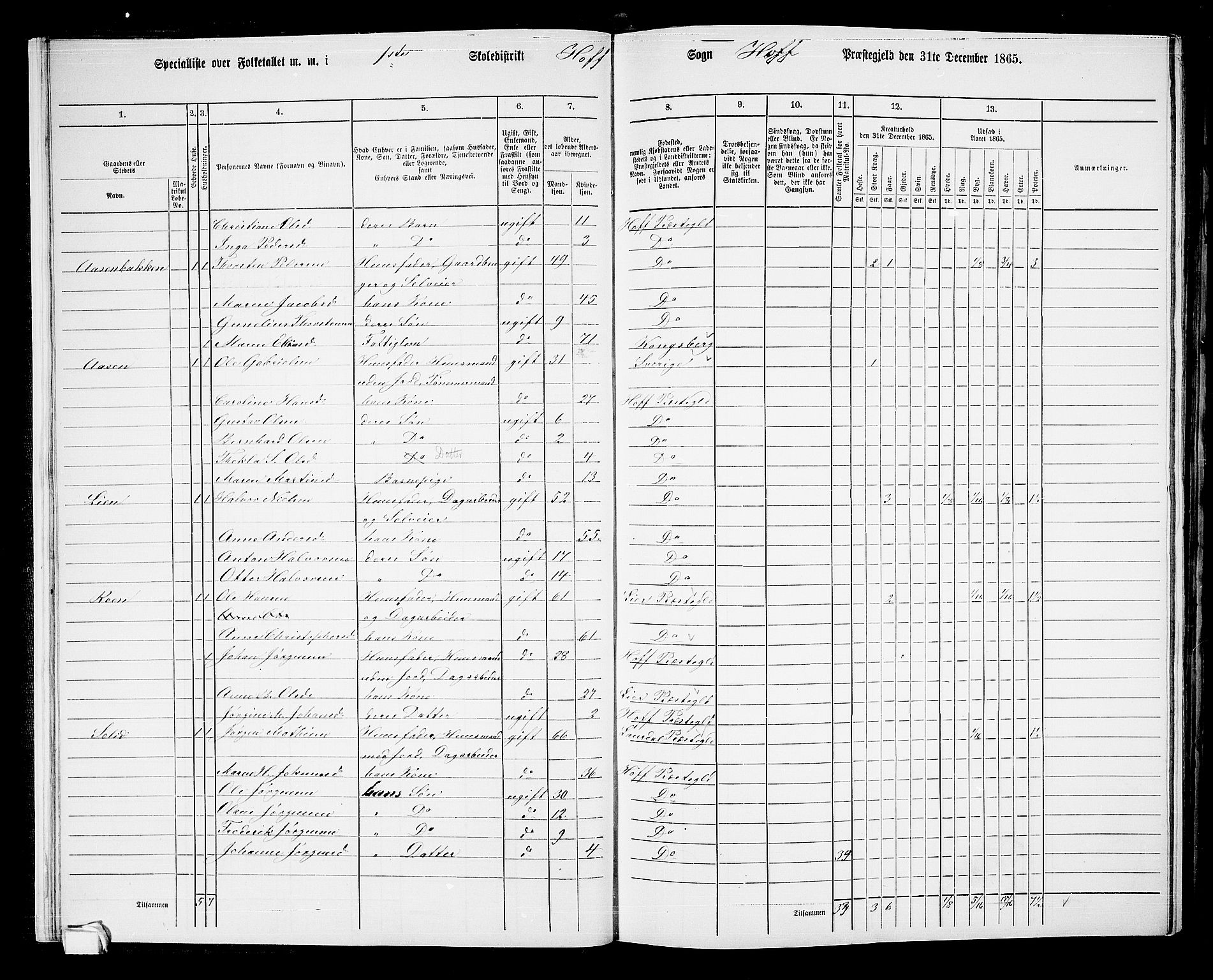 RA, 1865 census for Hof, 1865, p. 20