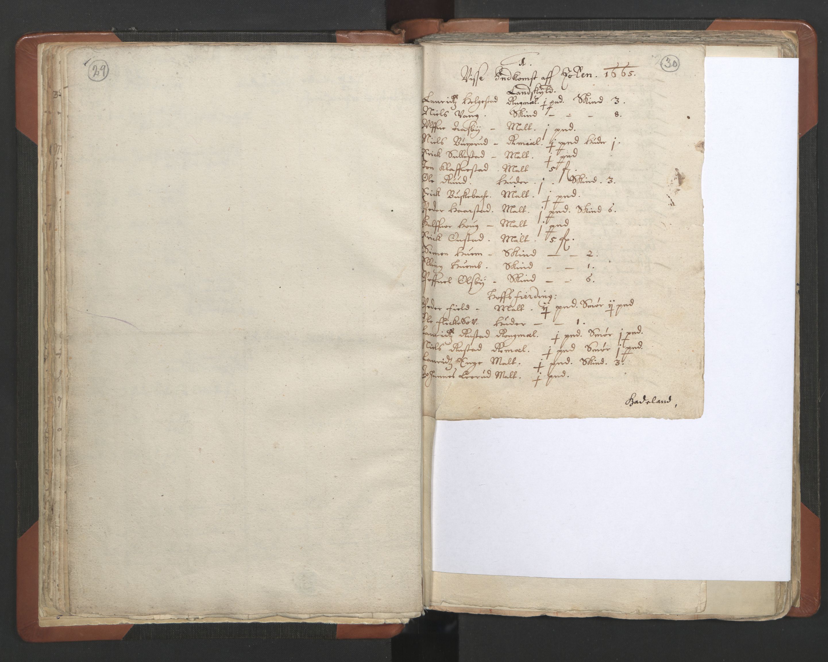 RA, Vicar's Census 1664-1666, no. 7: Hadeland deanery, 1664-1666, p. 29-30