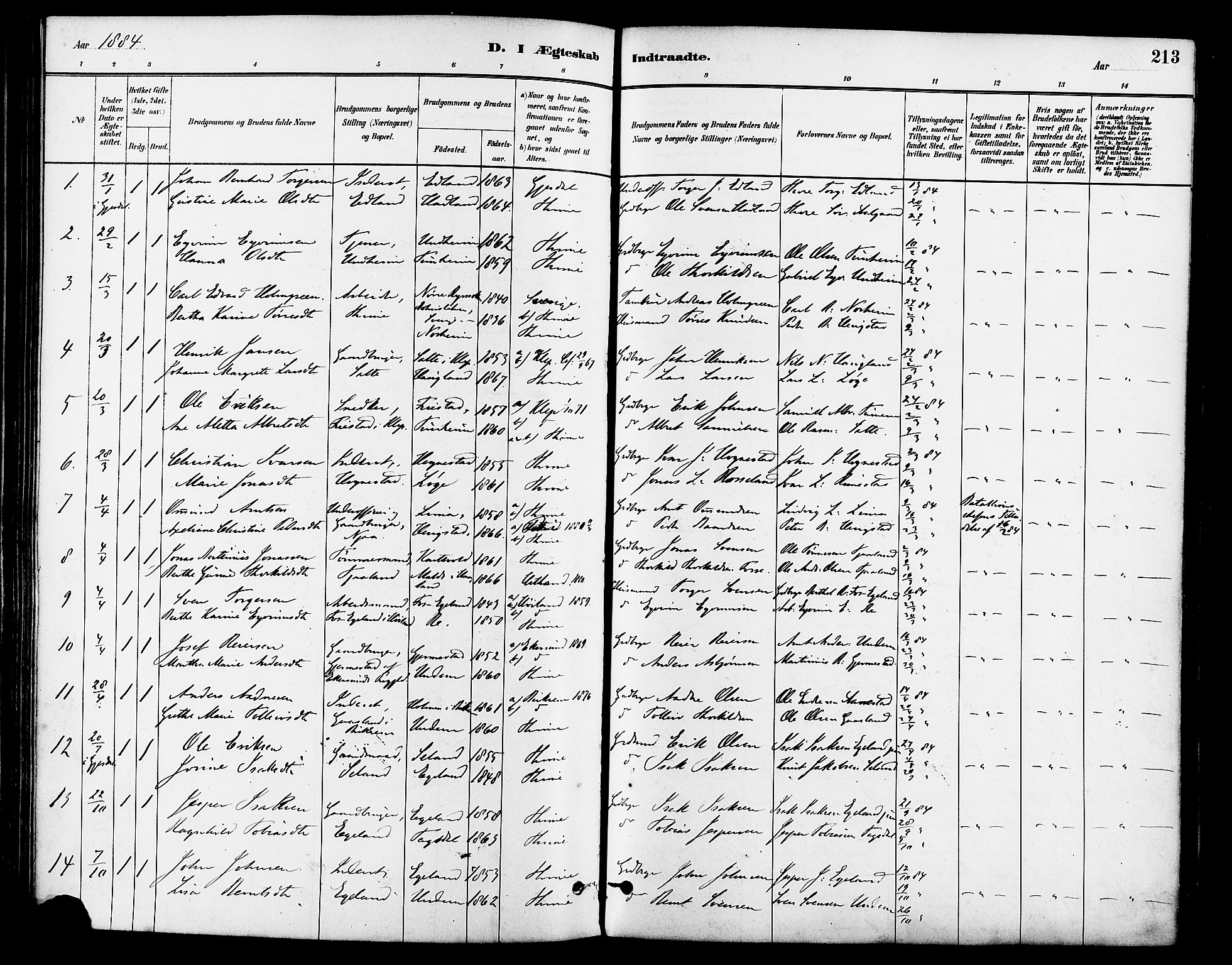 Lye sokneprestkontor, SAST/A-101794/001/30BA/L0009: Parish register (official) no. A 8, 1881-1892, p. 213
