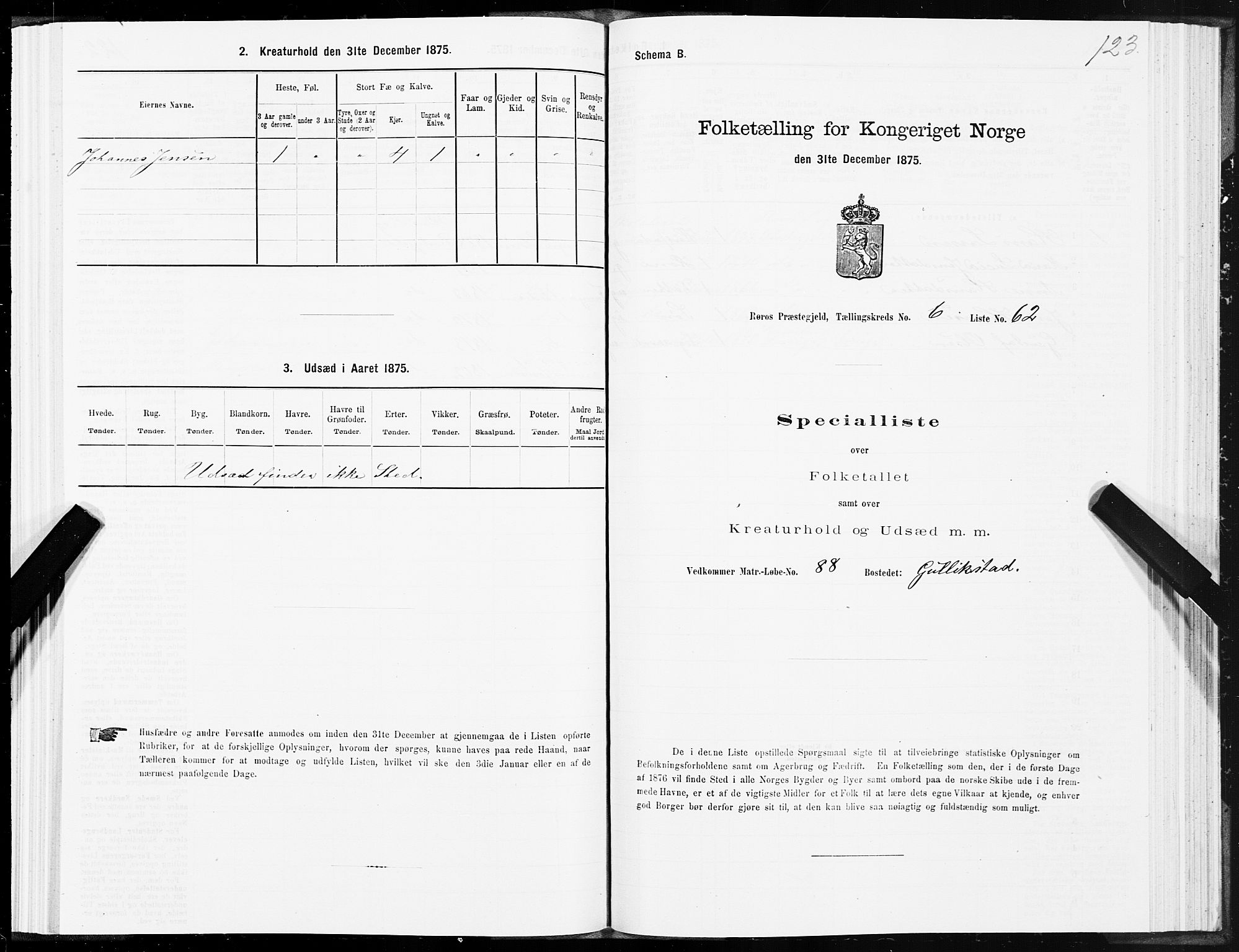 SAT, 1875 census for 1640P Røros, 1875, p. 4123