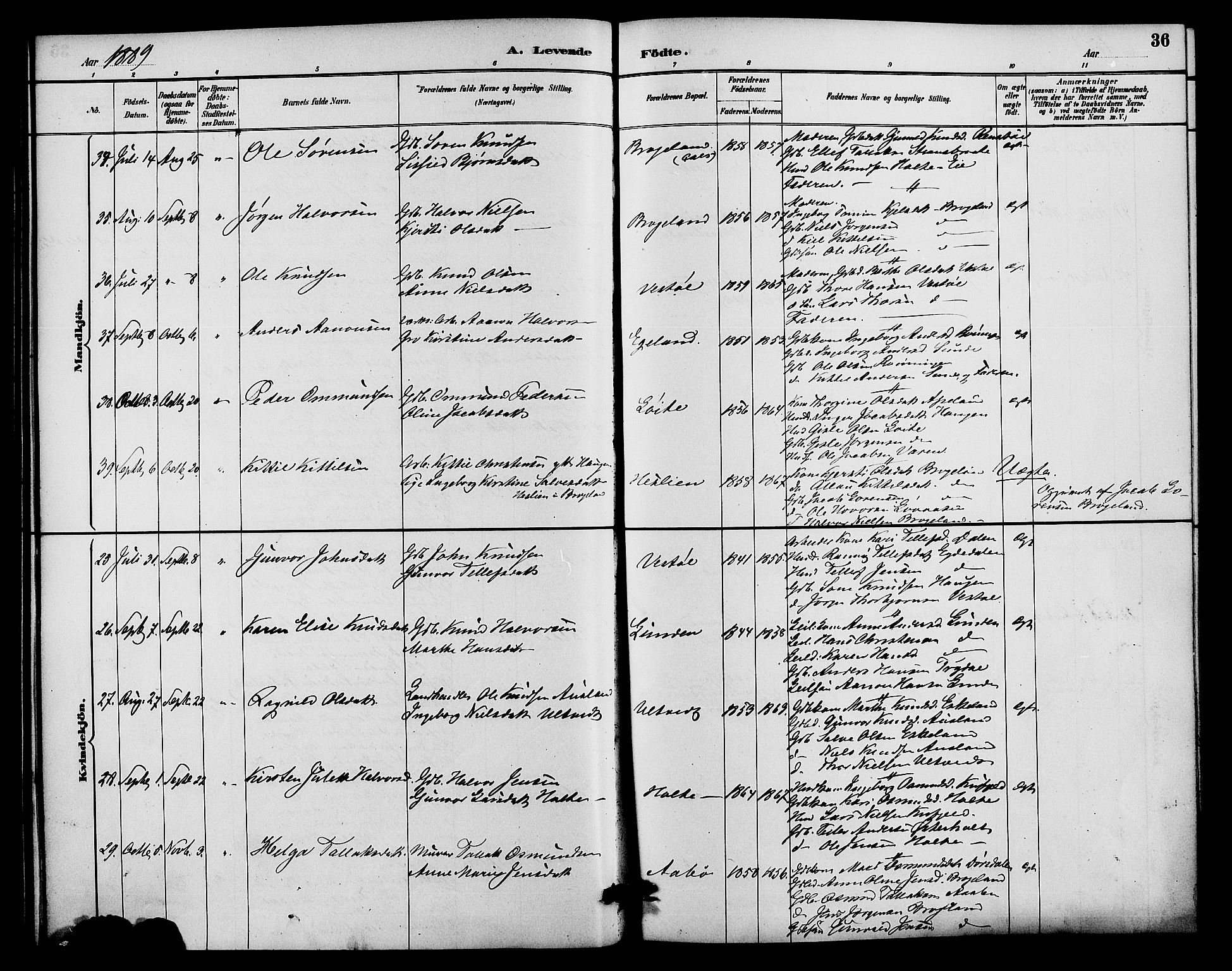 Gjerstad sokneprestkontor, SAK/1111-0014/F/Fa/Faa/L0009: Parish register (official) no. A 9, 1885-1890, p. 36