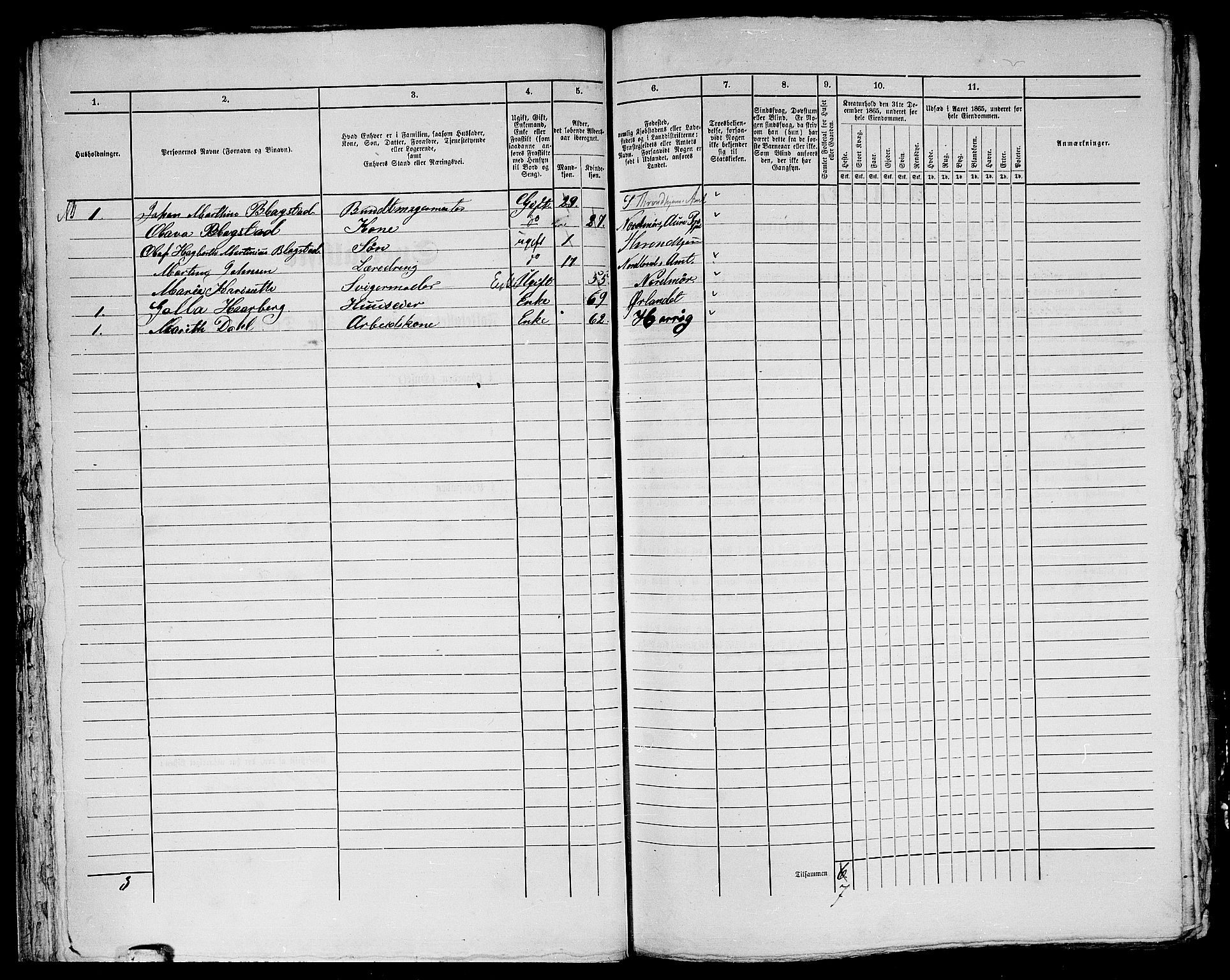 RA, 1865 census for Trondheim, 1865, p. 586