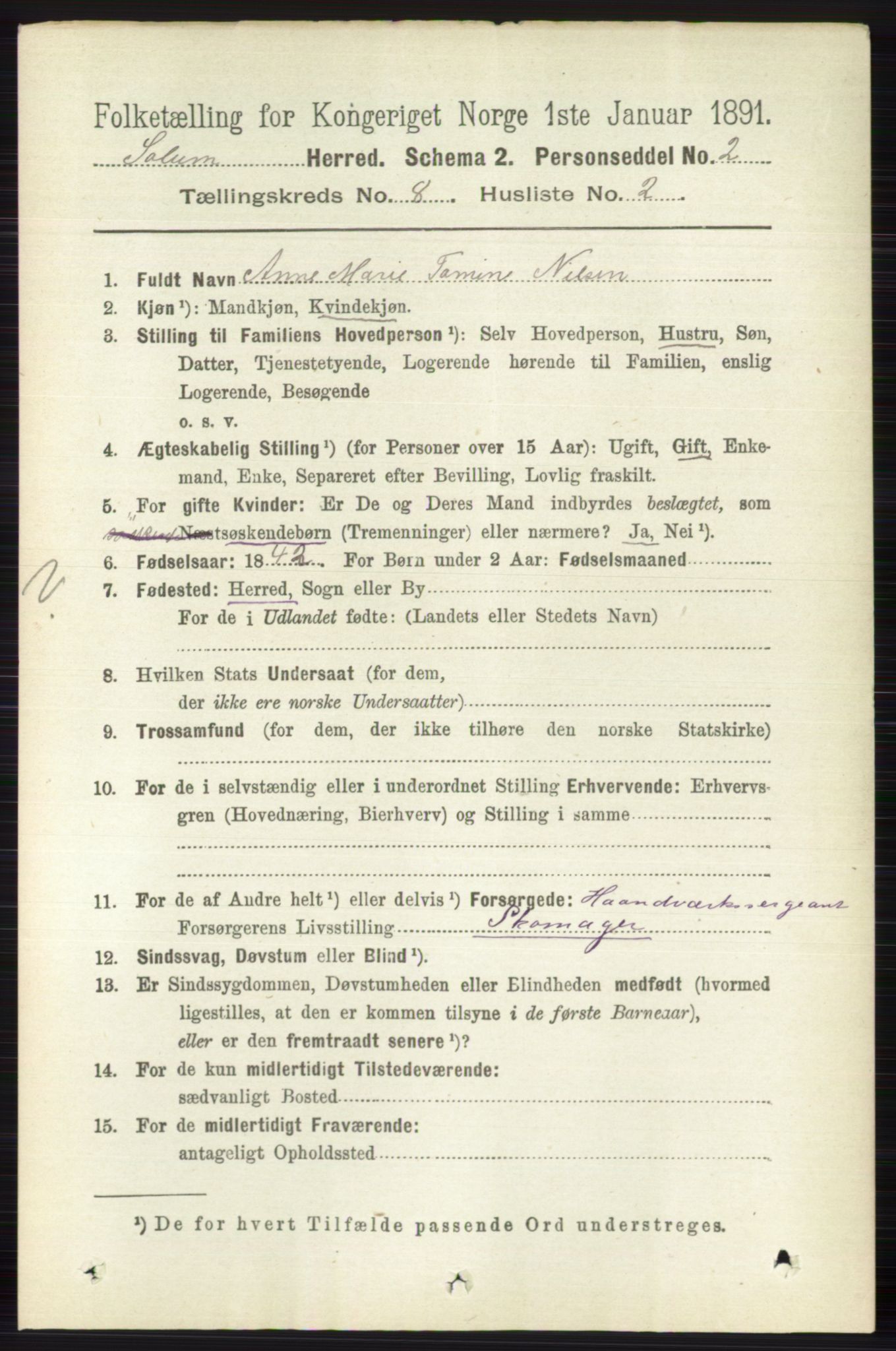 RA, 1891 census for 0818 Solum, 1891, p. 4115