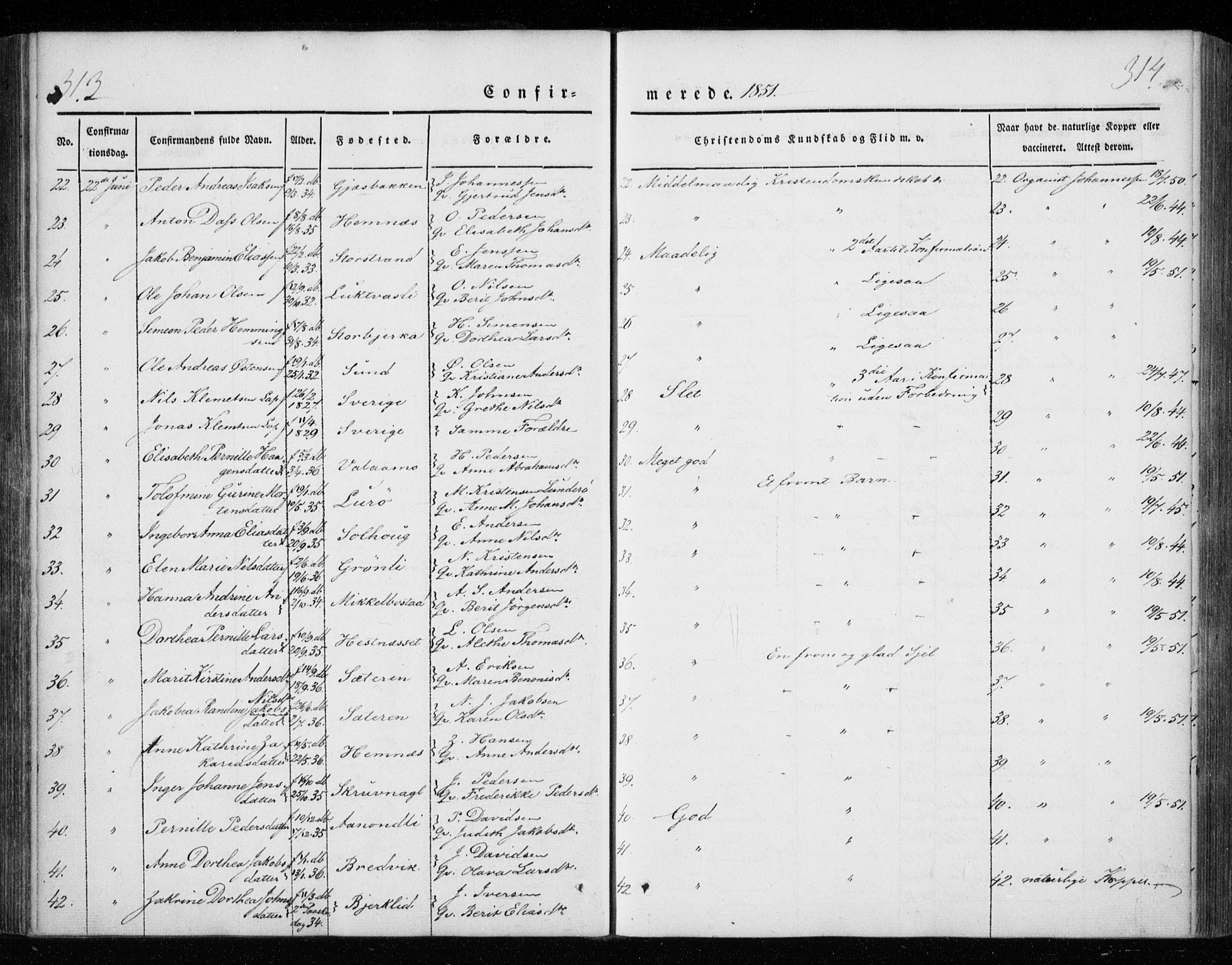 Ministerialprotokoller, klokkerbøker og fødselsregistre - Nordland, AV/SAT-A-1459/825/L0355: Parish register (official) no. 825A09, 1842-1863, p. 313-314