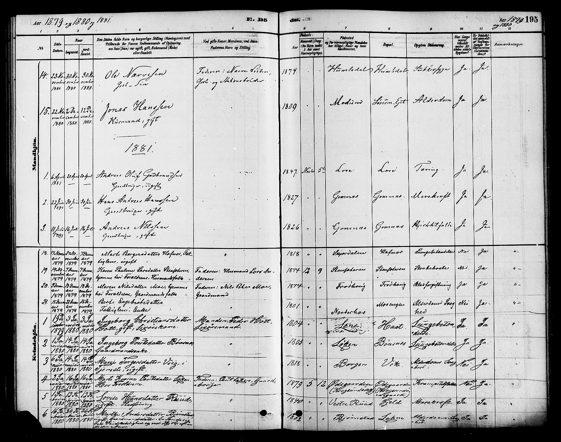 Hole kirkebøker, SAKO/A-228/F/Fa/L0008: Parish register (official) no. I 8, 1878-1891, p. 195