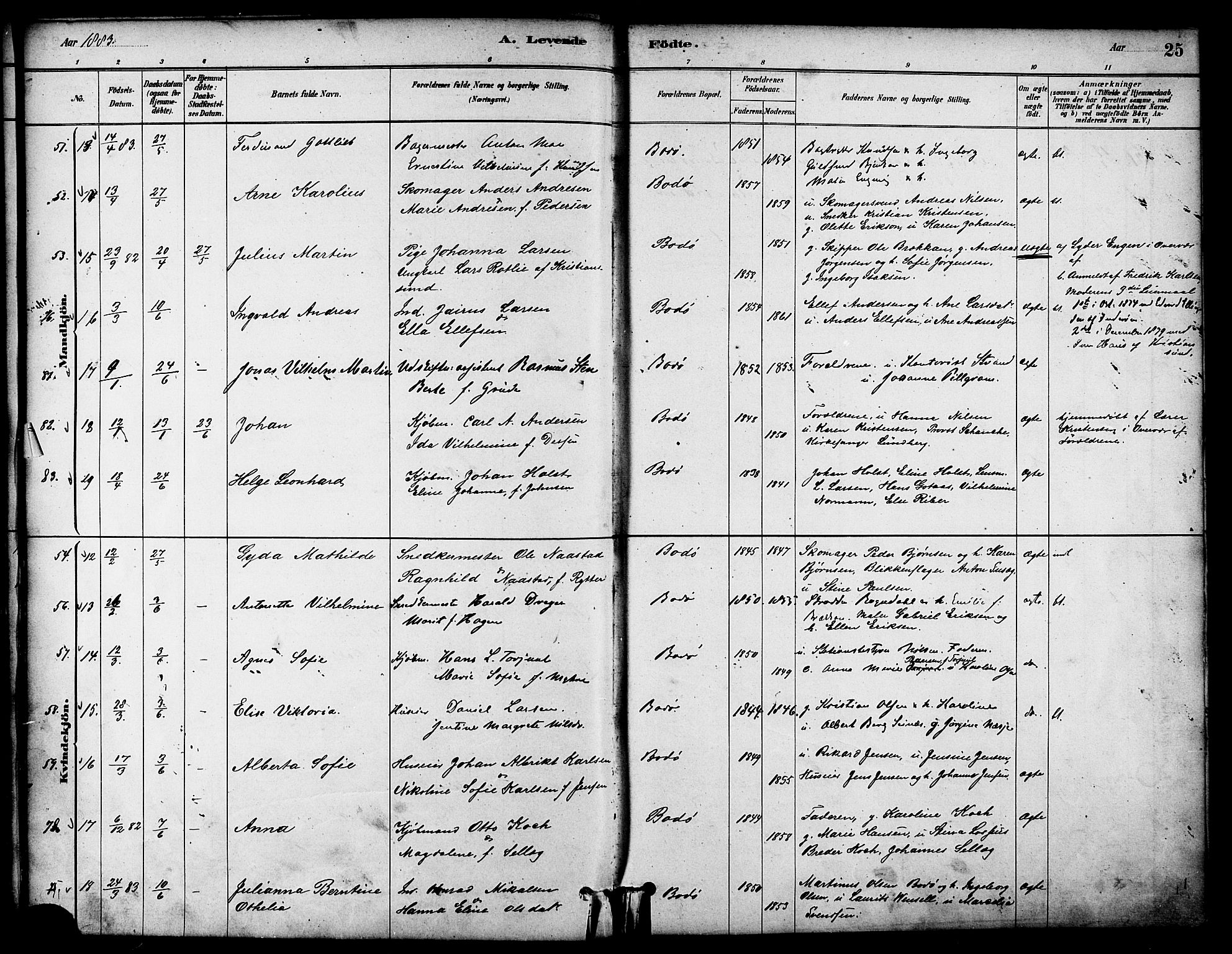 Ministerialprotokoller, klokkerbøker og fødselsregistre - Nordland, AV/SAT-A-1459/801/L0030: Parish register (copy) no. 801C05, 1879-1887, p. 25