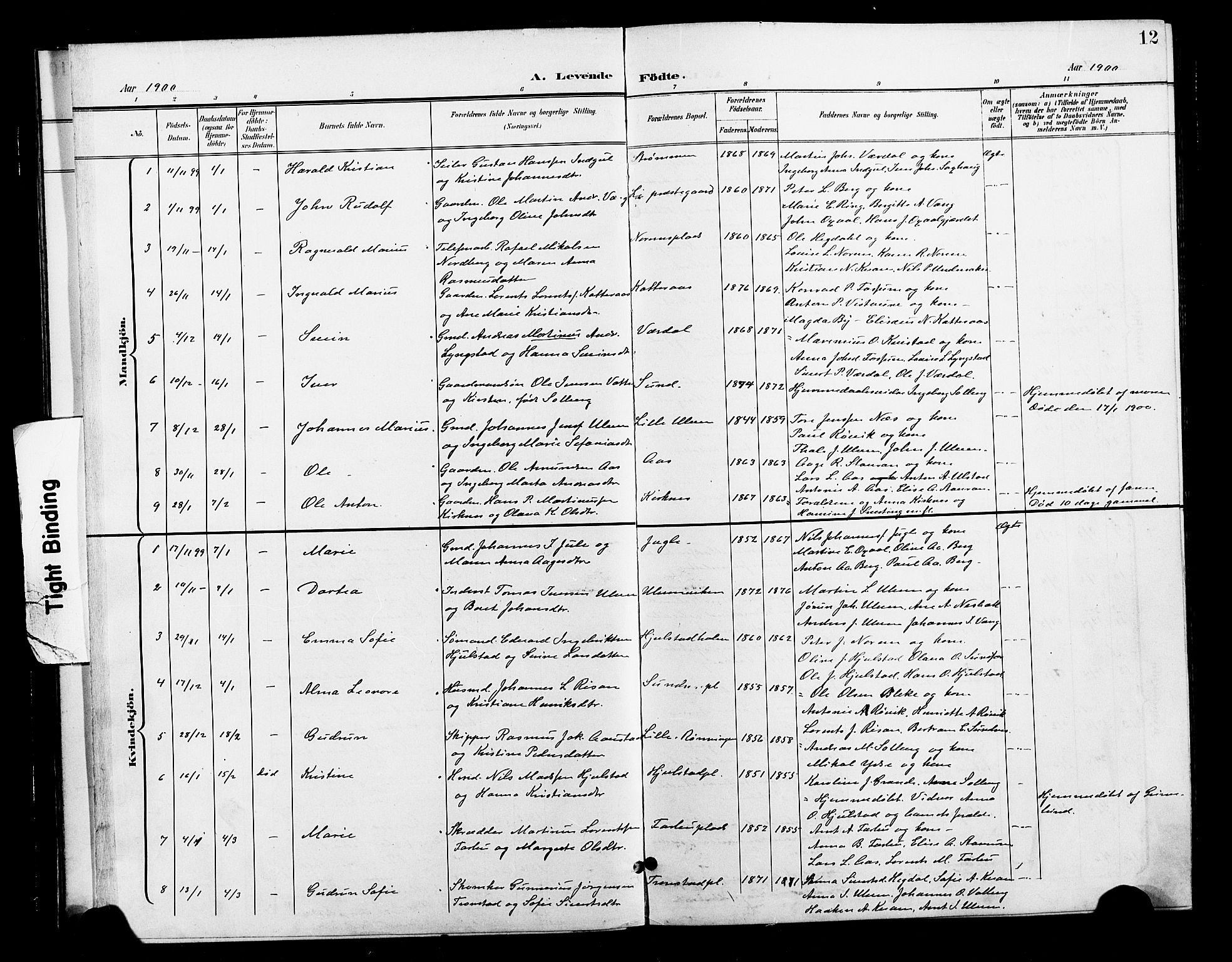 Ministerialprotokoller, klokkerbøker og fødselsregistre - Nord-Trøndelag, SAT/A-1458/730/L0302: Parish register (copy) no. 730C05, 1898-1924, p. 12