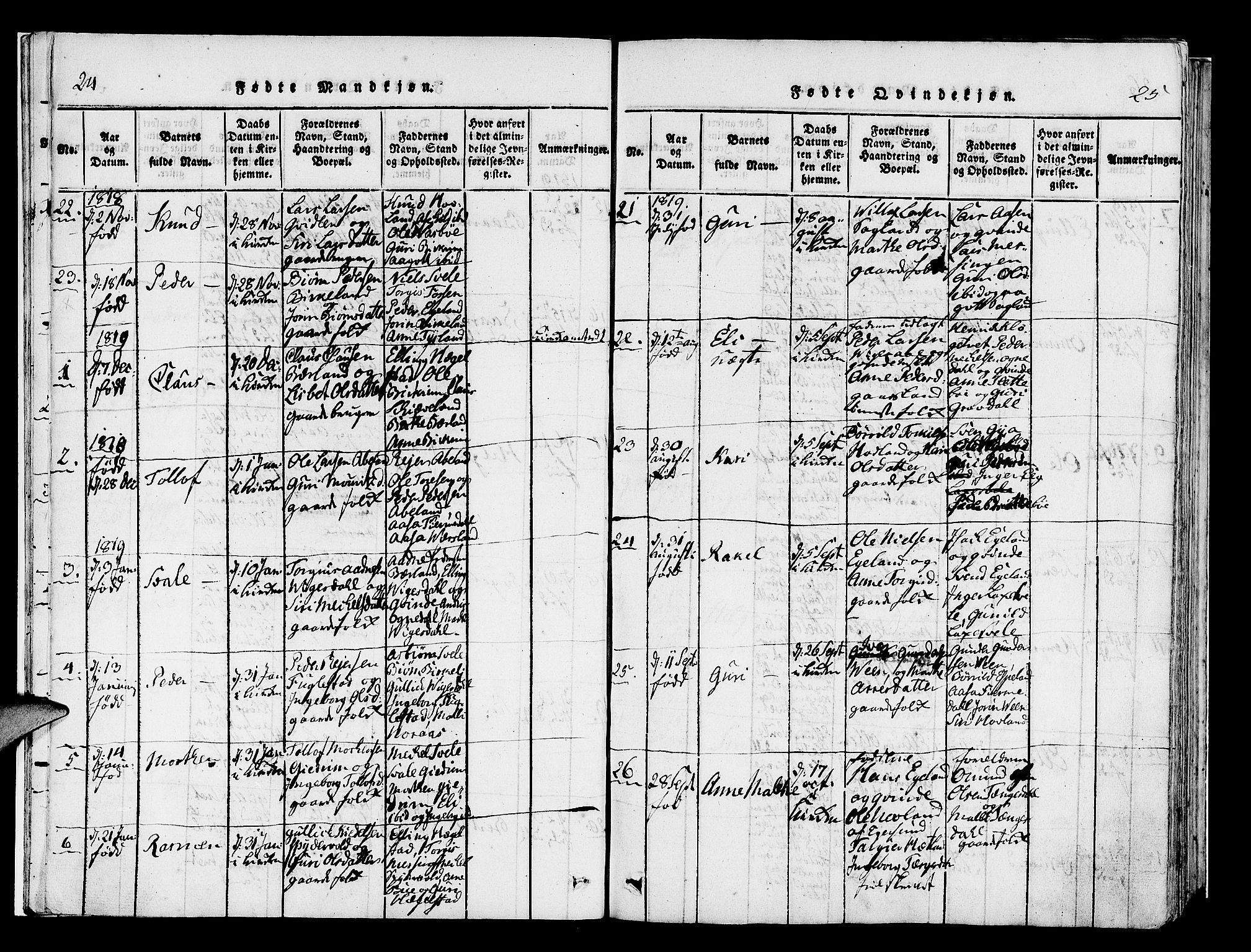 Helleland sokneprestkontor, AV/SAST-A-101810: Parish register (official) no. A 5, 1815-1834, p. 24-25