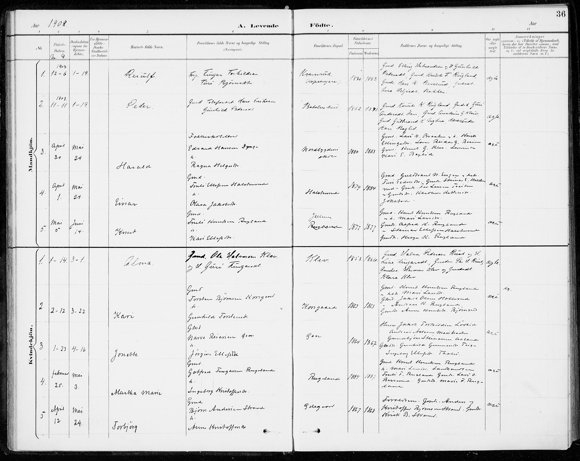 Sigdal kirkebøker, SAKO/A-245/F/Fc/L0002: Parish register (official) no. III 2, 1894-1911, p. 36