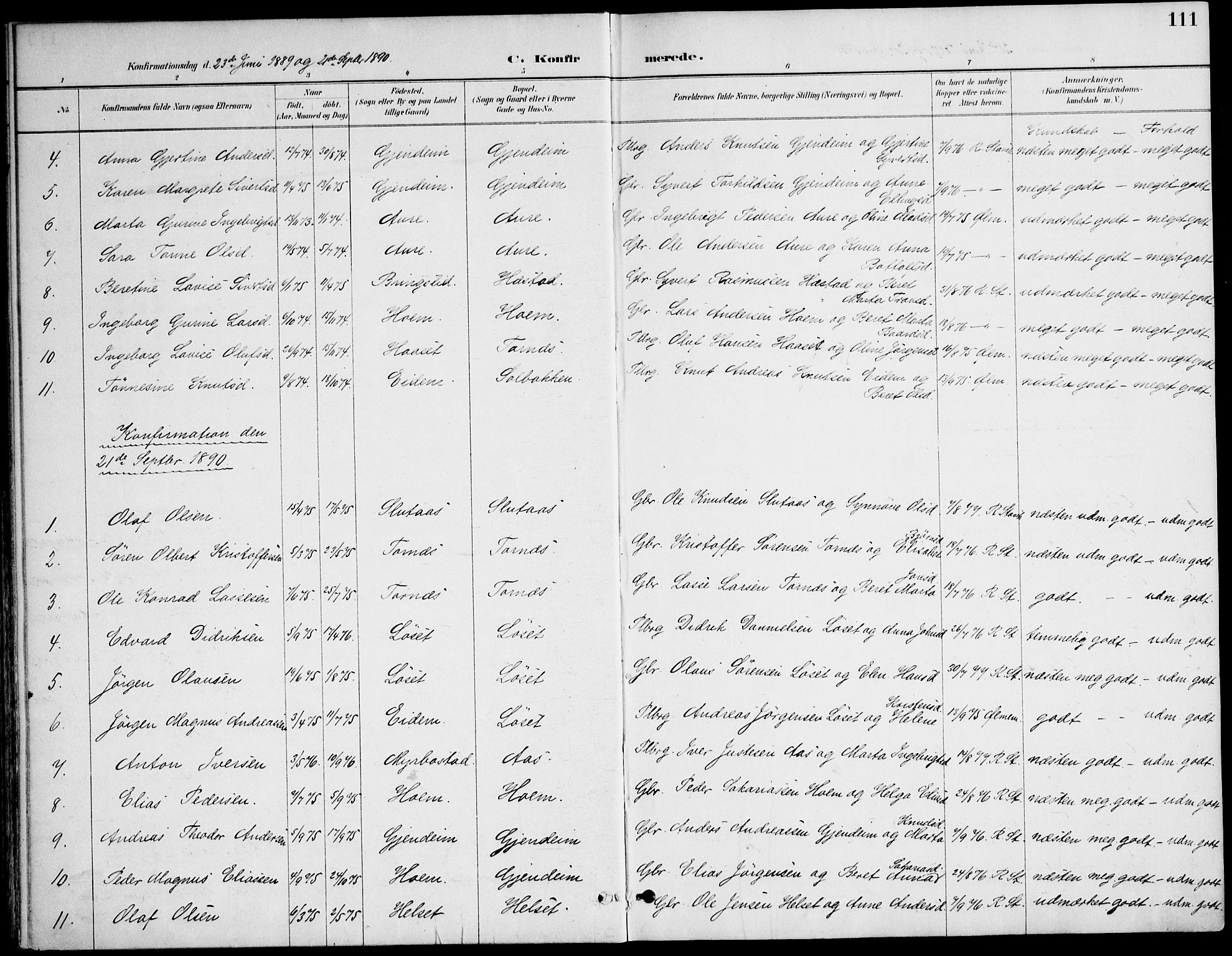 Ministerialprotokoller, klokkerbøker og fødselsregistre - Møre og Romsdal, AV/SAT-A-1454/565/L0750: Parish register (official) no. 565A04, 1887-1905, p. 111