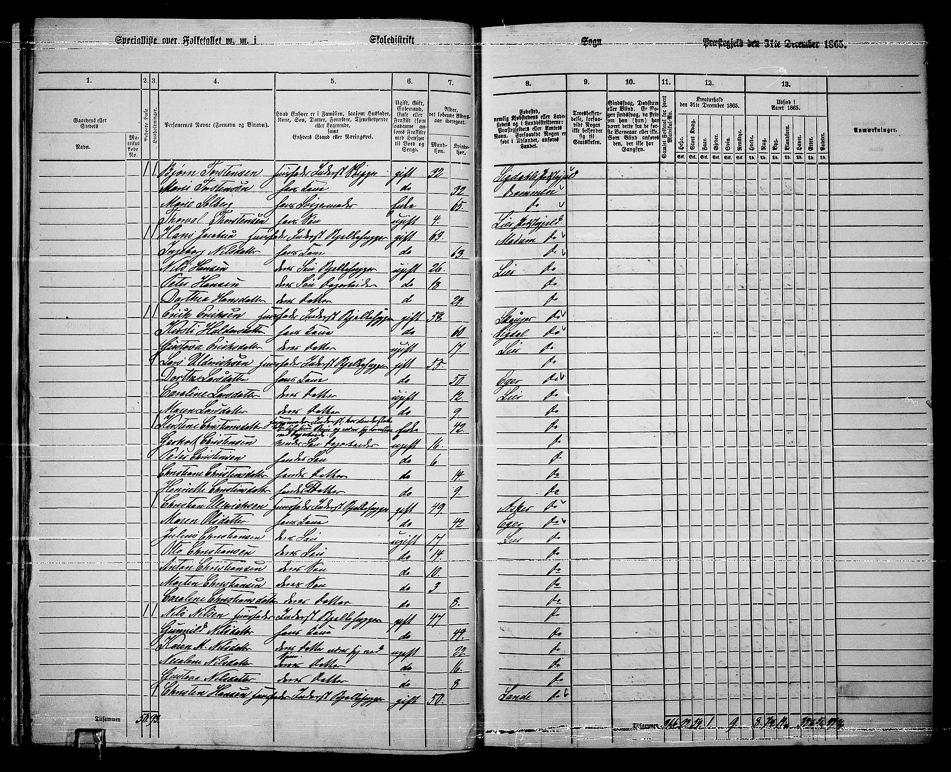 RA, 1865 census for Lier, 1865, p. 30