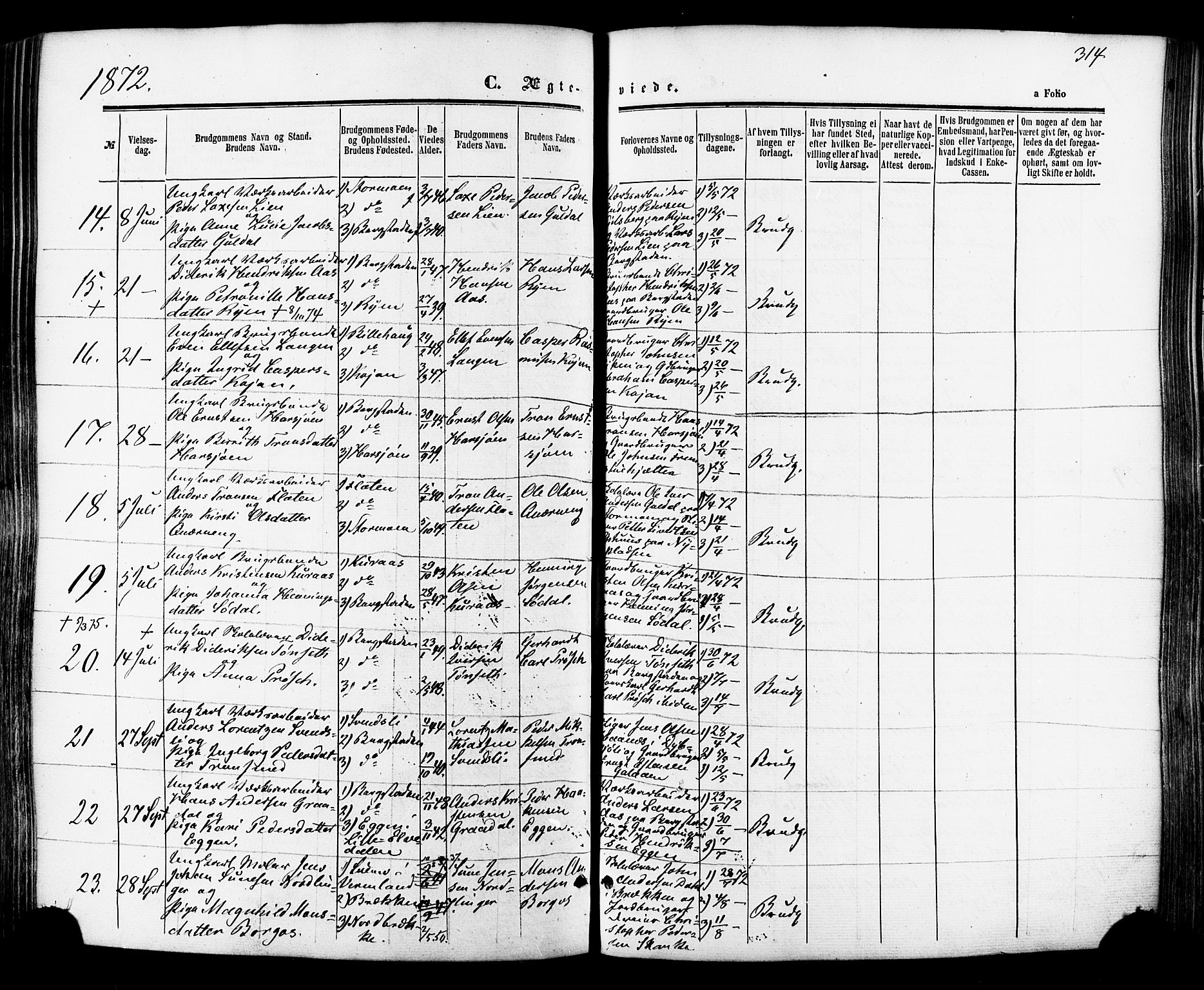 Ministerialprotokoller, klokkerbøker og fødselsregistre - Sør-Trøndelag, SAT/A-1456/681/L0932: Parish register (official) no. 681A10, 1860-1878, p. 314