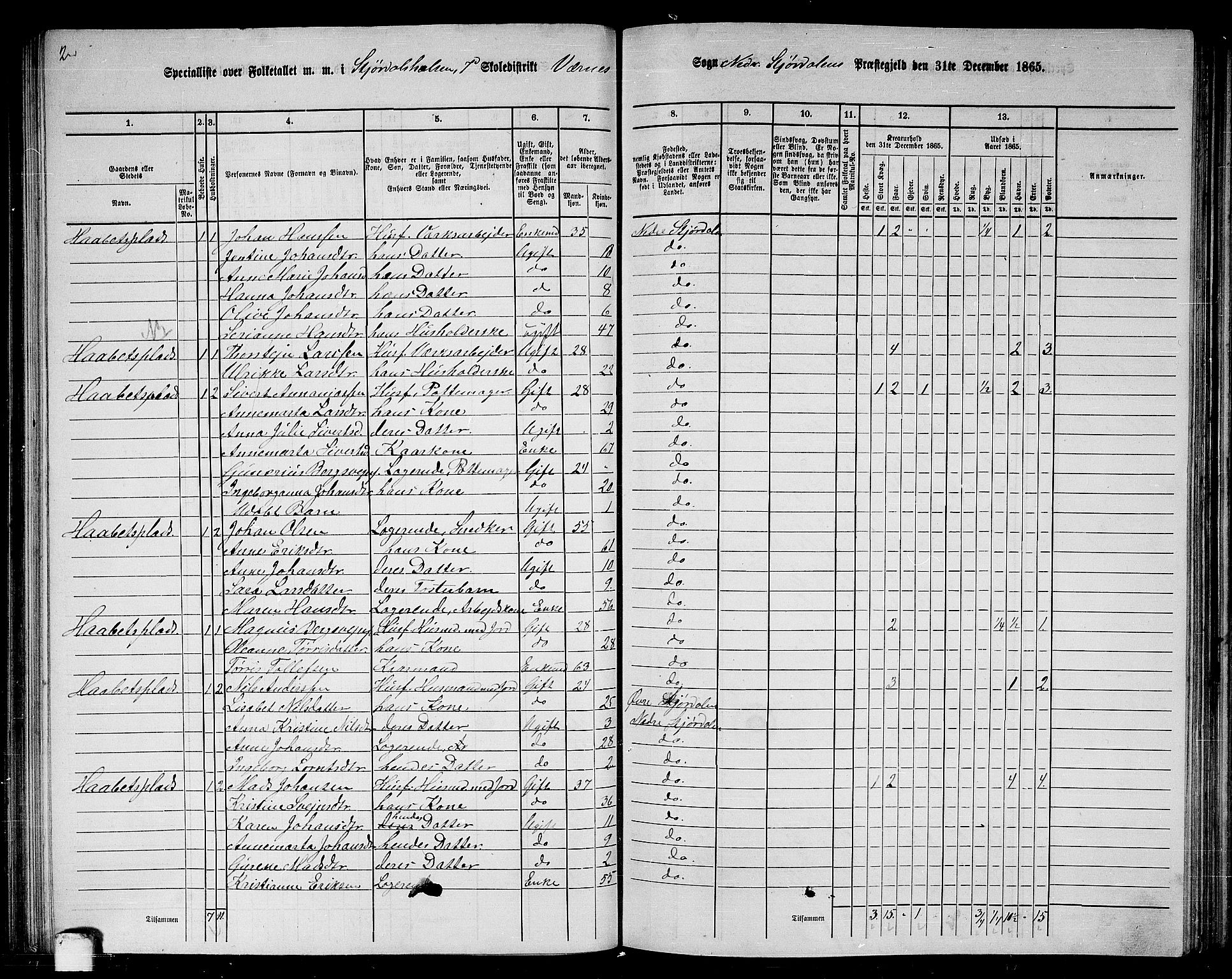 RA, 1865 census for Nedre Stjørdal, 1865, p. 140