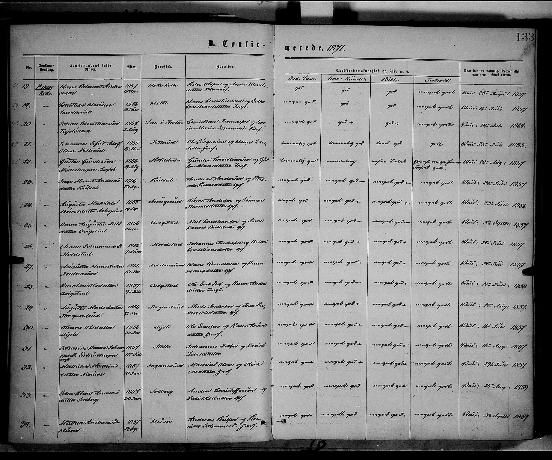 Vestre Toten prestekontor, SAH/PREST-108/H/Ha/Haa/L0008: Parish register (official) no. 8, 1870-1877, p. 133