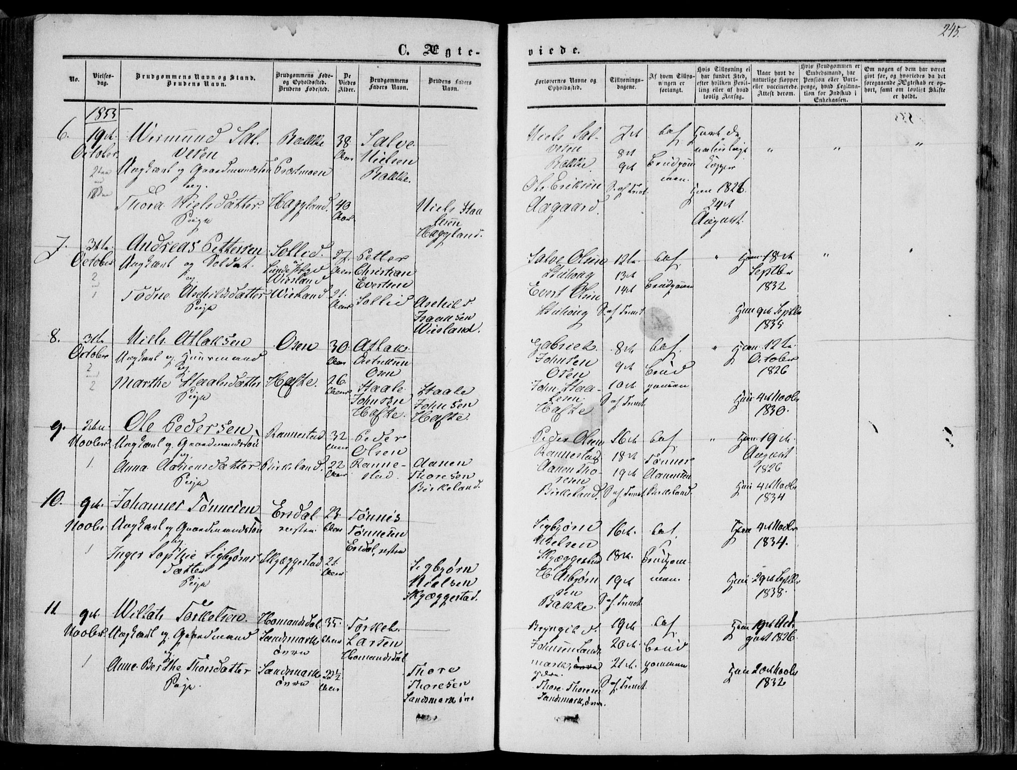 Bakke sokneprestkontor, SAK/1111-0002/F/Fa/Faa/L0006: Parish register (official) no. A 6, 1855-1877, p. 245