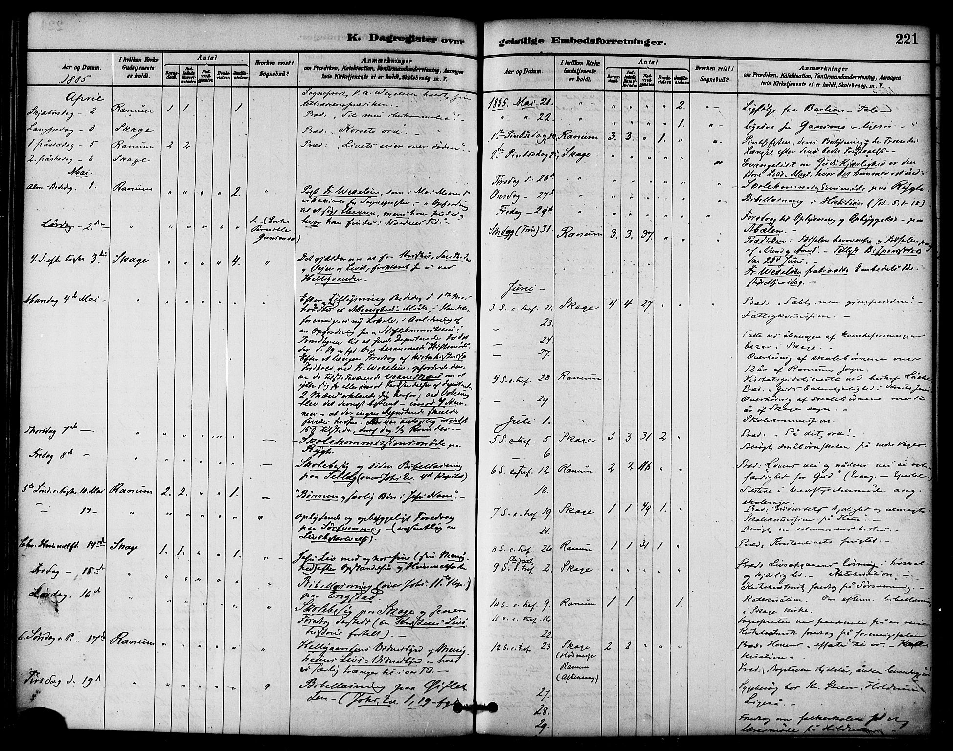 Ministerialprotokoller, klokkerbøker og fødselsregistre - Nord-Trøndelag, AV/SAT-A-1458/764/L0555: Parish register (official) no. 764A10, 1881-1896, p. 221