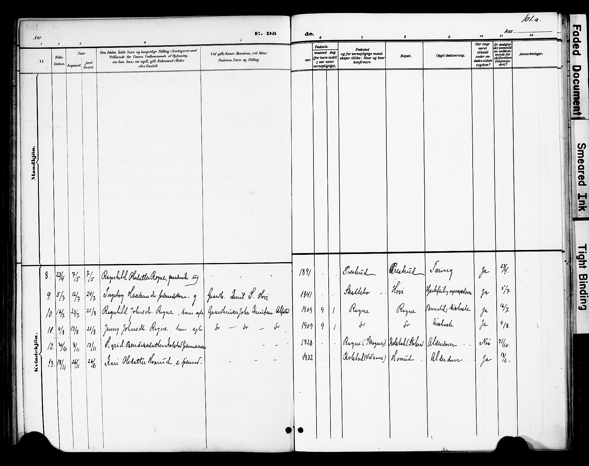 Øystre Slidre prestekontor, SAH/PREST-138/H/Ha/Haa/L0003: Parish register (official) no. 3, 1887-1910, p. 101a