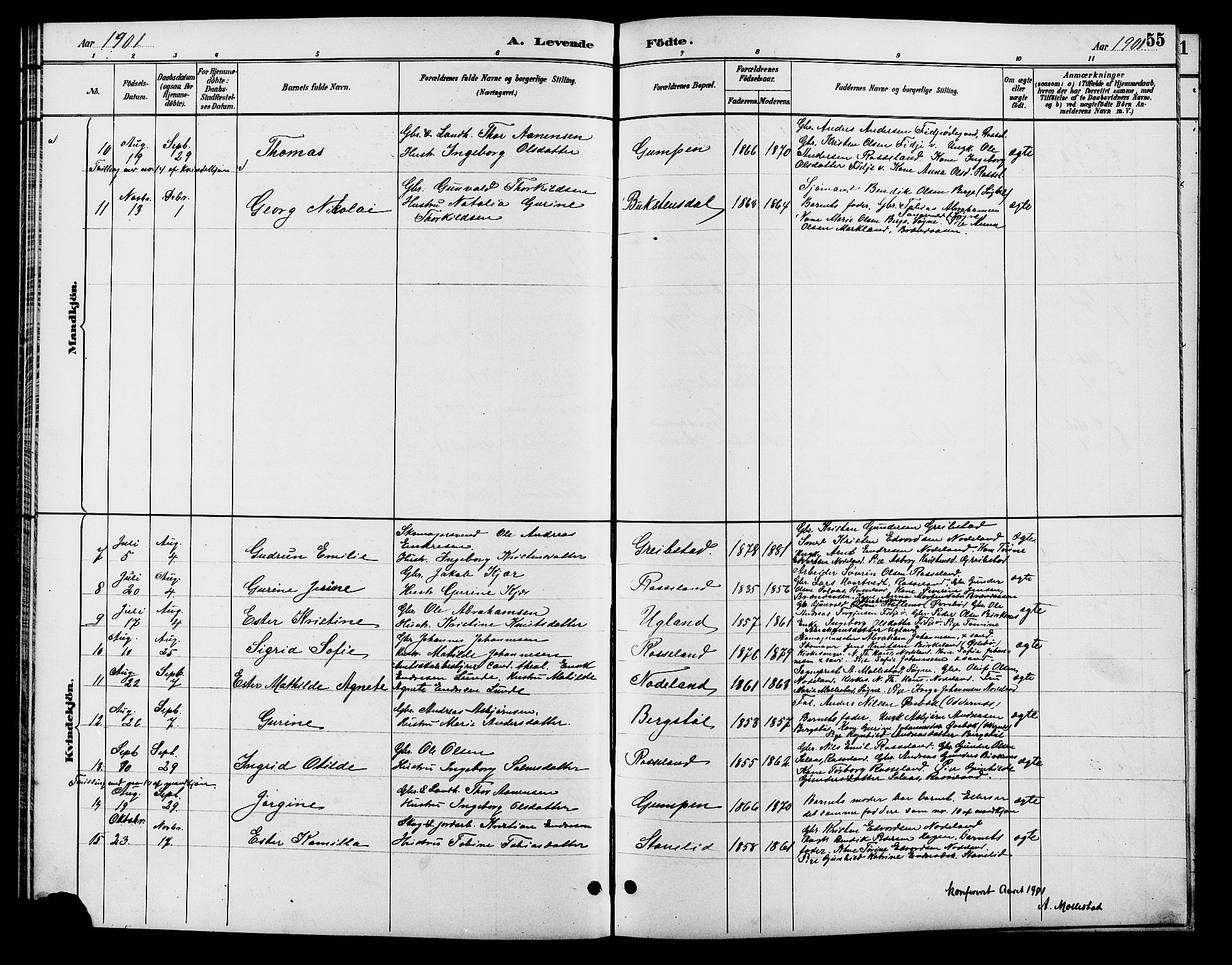 Søgne sokneprestkontor, SAK/1111-0037/F/Fb/Fba/L0004: Parish register (copy) no. B 4, 1888-1903, p. 55