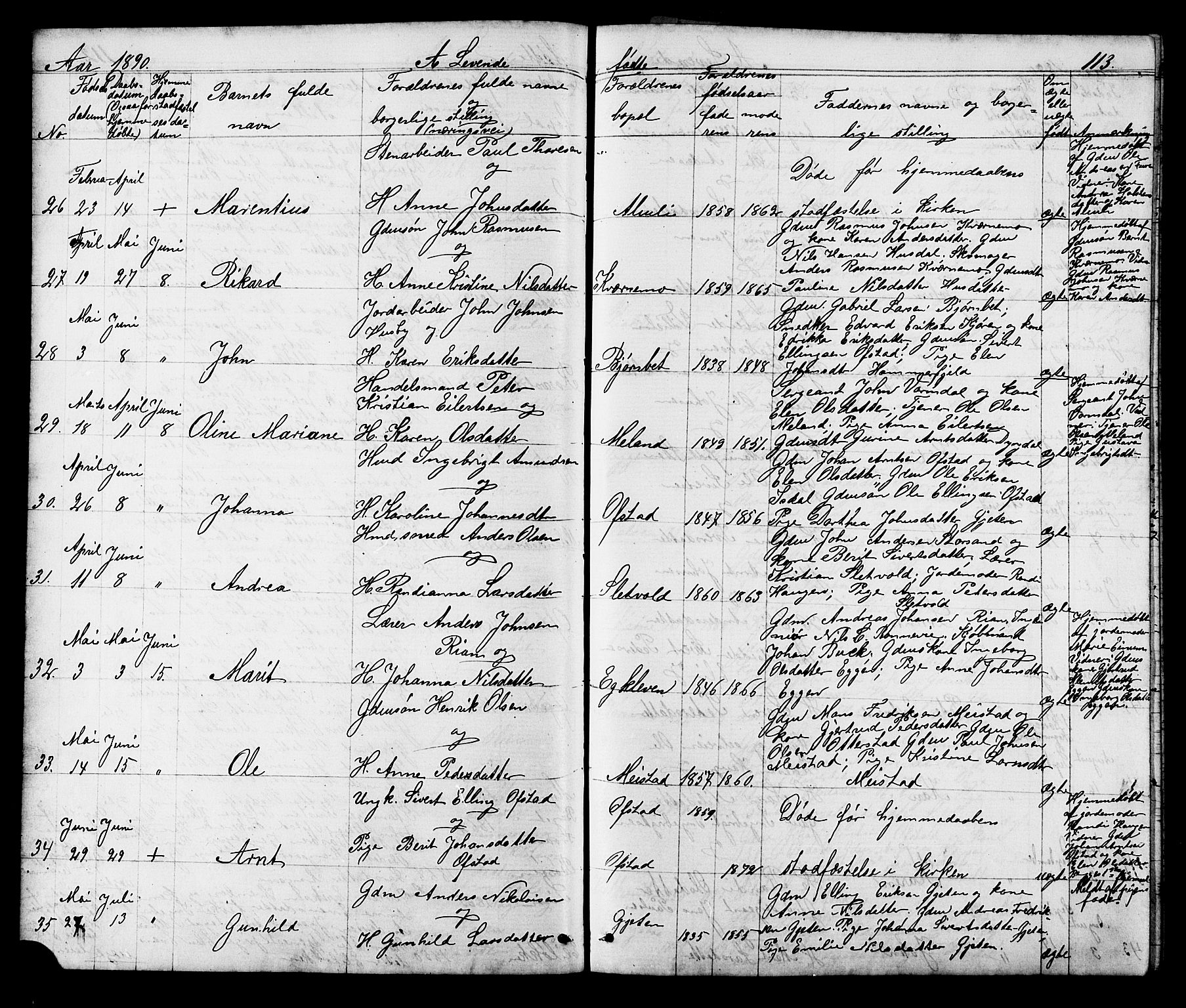 Ministerialprotokoller, klokkerbøker og fødselsregistre - Sør-Trøndelag, AV/SAT-A-1456/665/L0777: Parish register (copy) no. 665C02, 1867-1915, p. 113