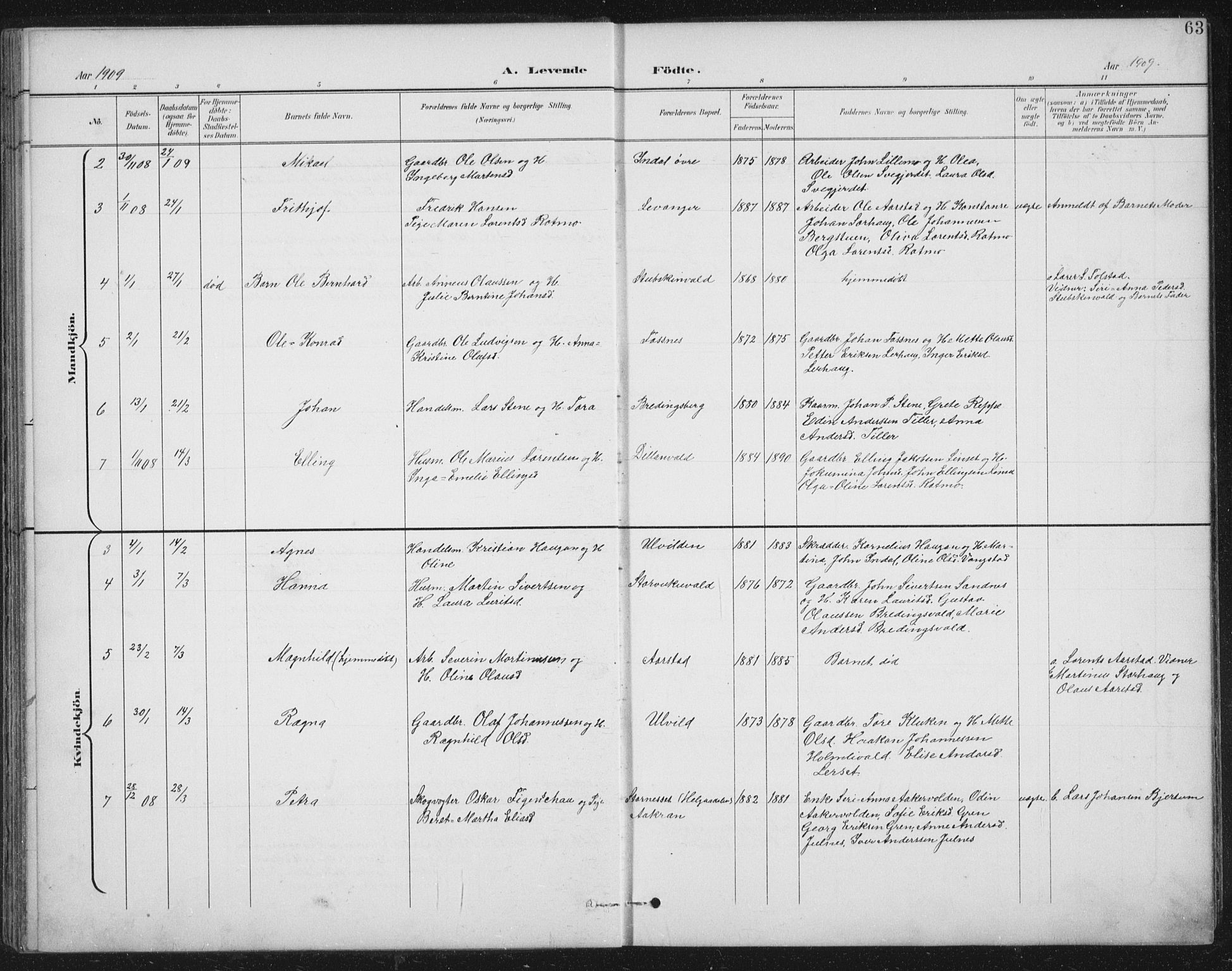 Ministerialprotokoller, klokkerbøker og fødselsregistre - Nord-Trøndelag, SAT/A-1458/724/L0269: Parish register (copy) no. 724C05, 1899-1920, p. 63
