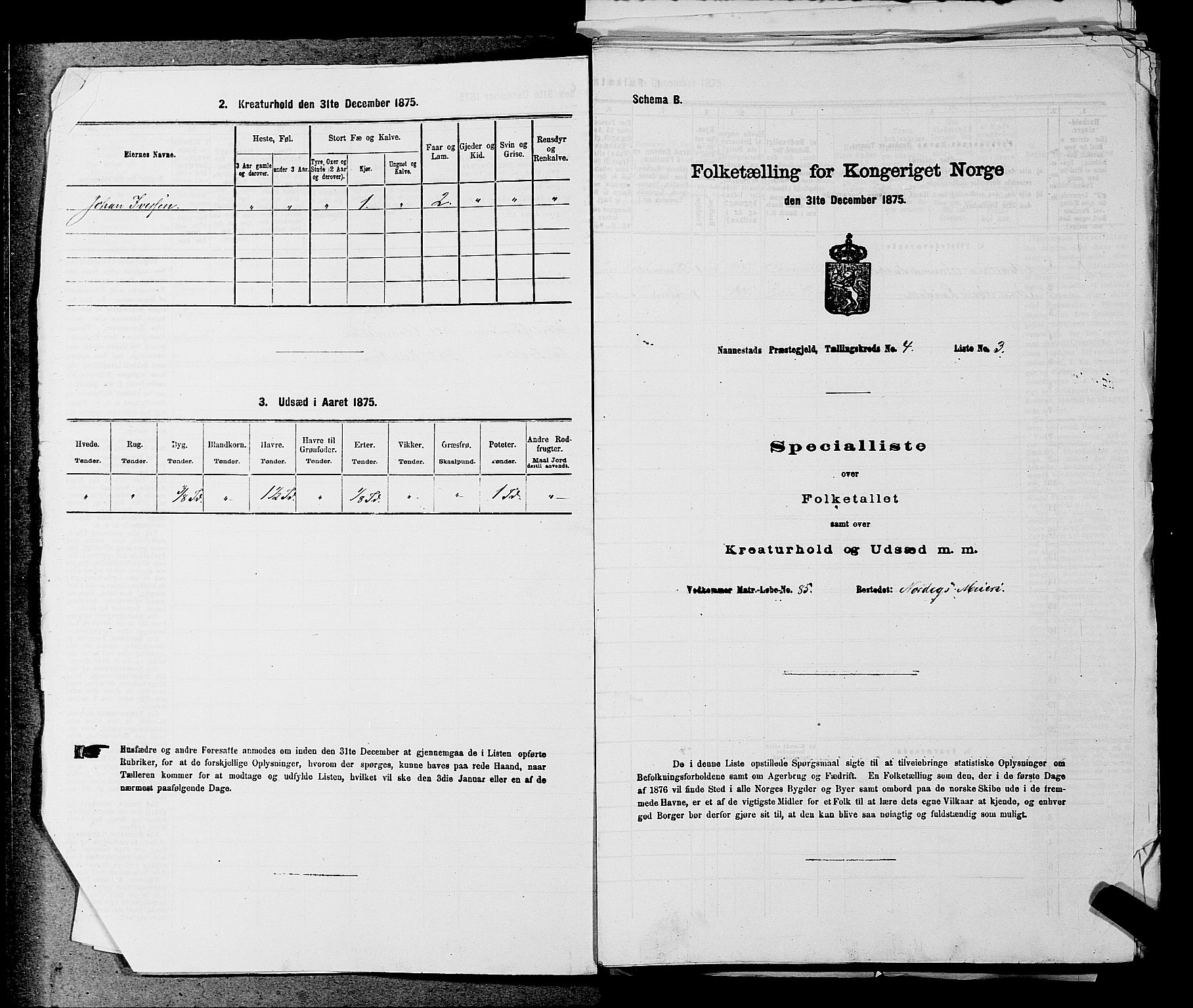 RA, 1875 census for 0238P Nannestad, 1875, p. 569