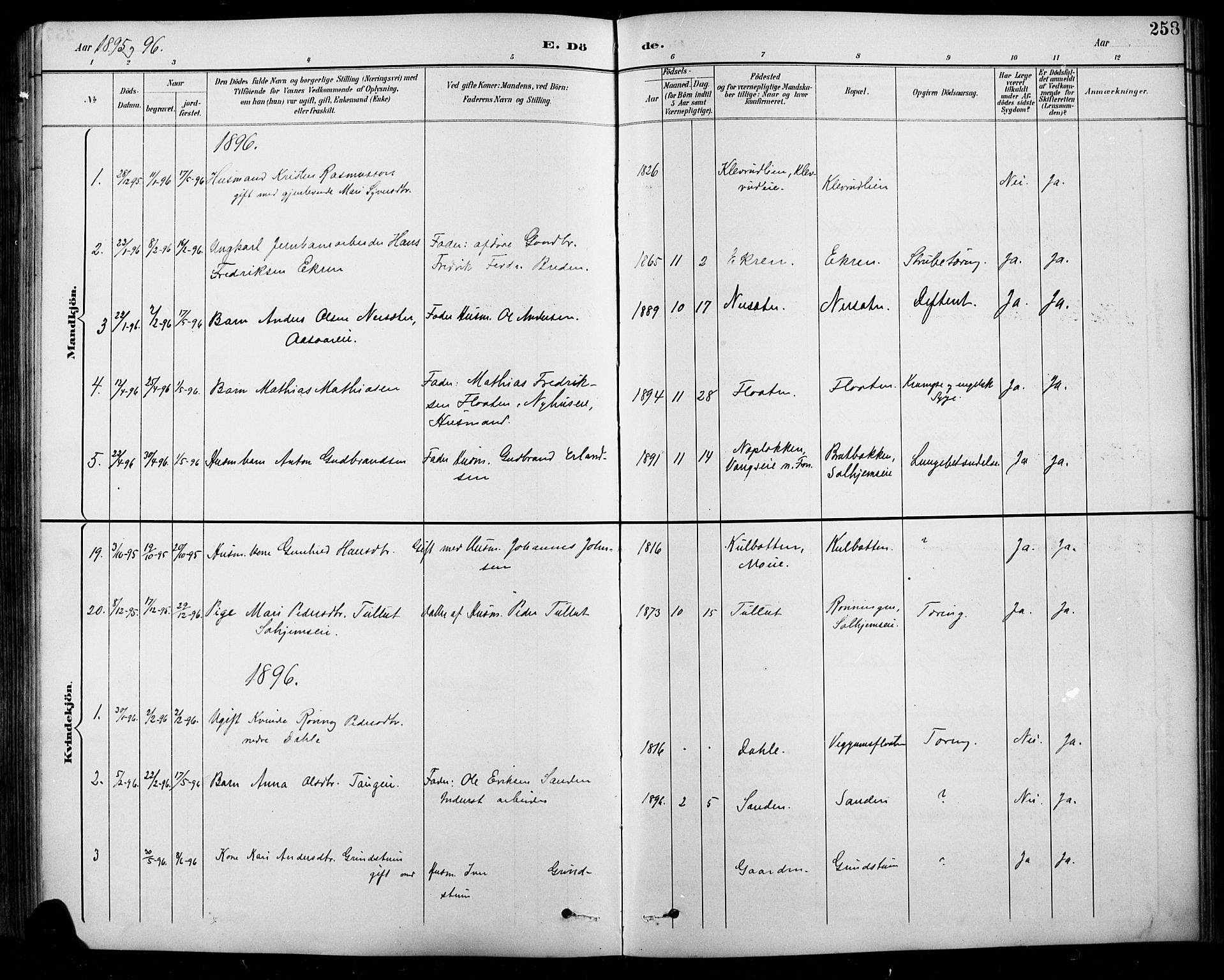 Sel prestekontor, SAH/PREST-074/H/Ha/Hab/L0001: Parish register (copy) no. 1, 1894-1923, p. 258
