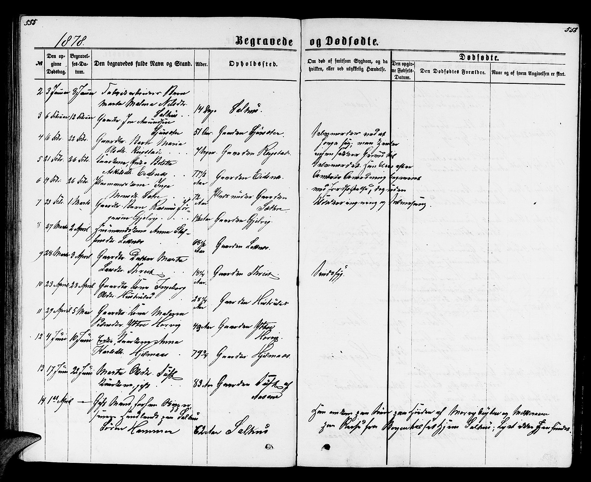 Hamre sokneprestembete, SAB/A-75501/H/Ha/Hab: Parish register (copy) no. B 2, 1863-1880, p. 555-556