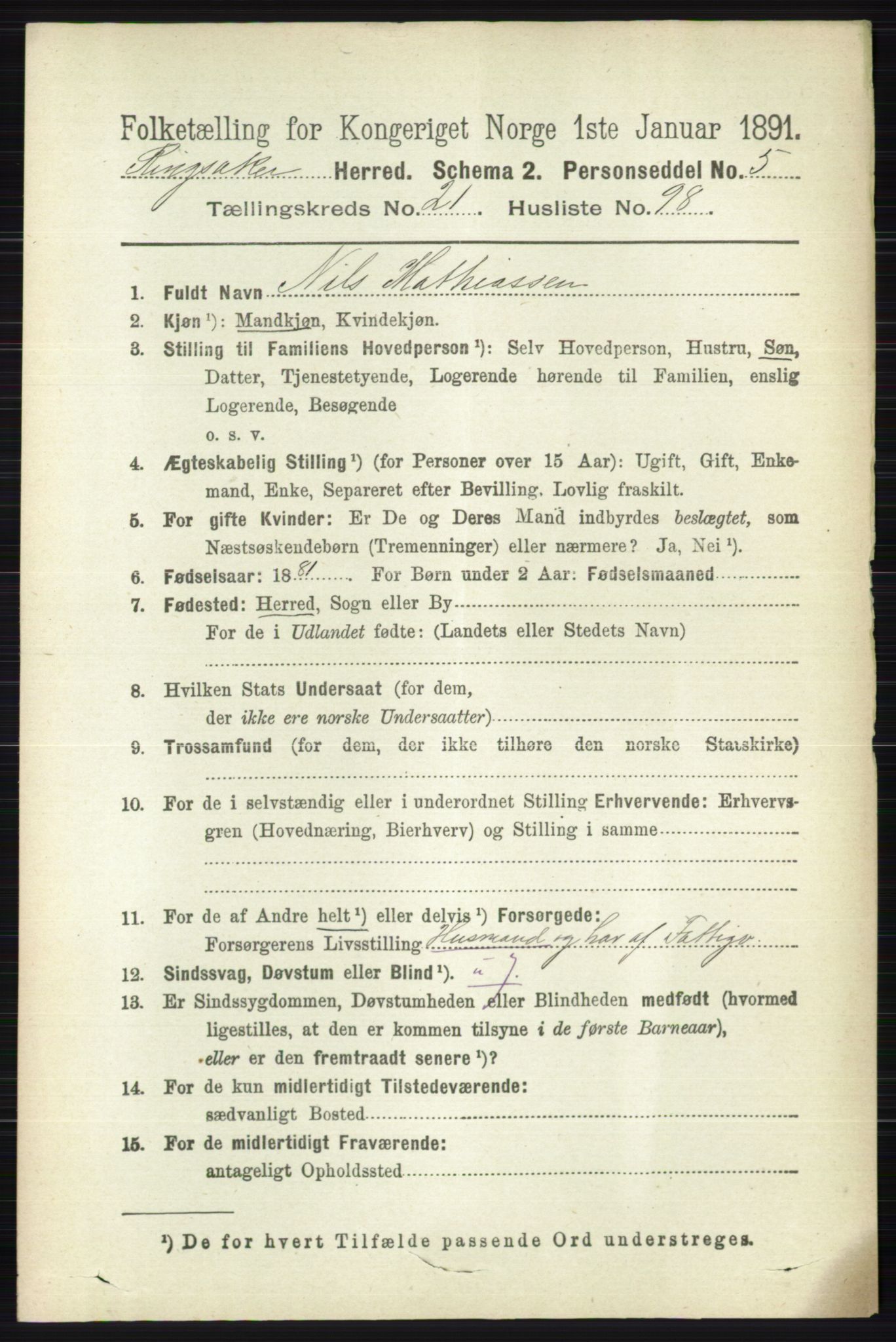 RA, 1891 census for 0412 Ringsaker, 1891, p. 12310