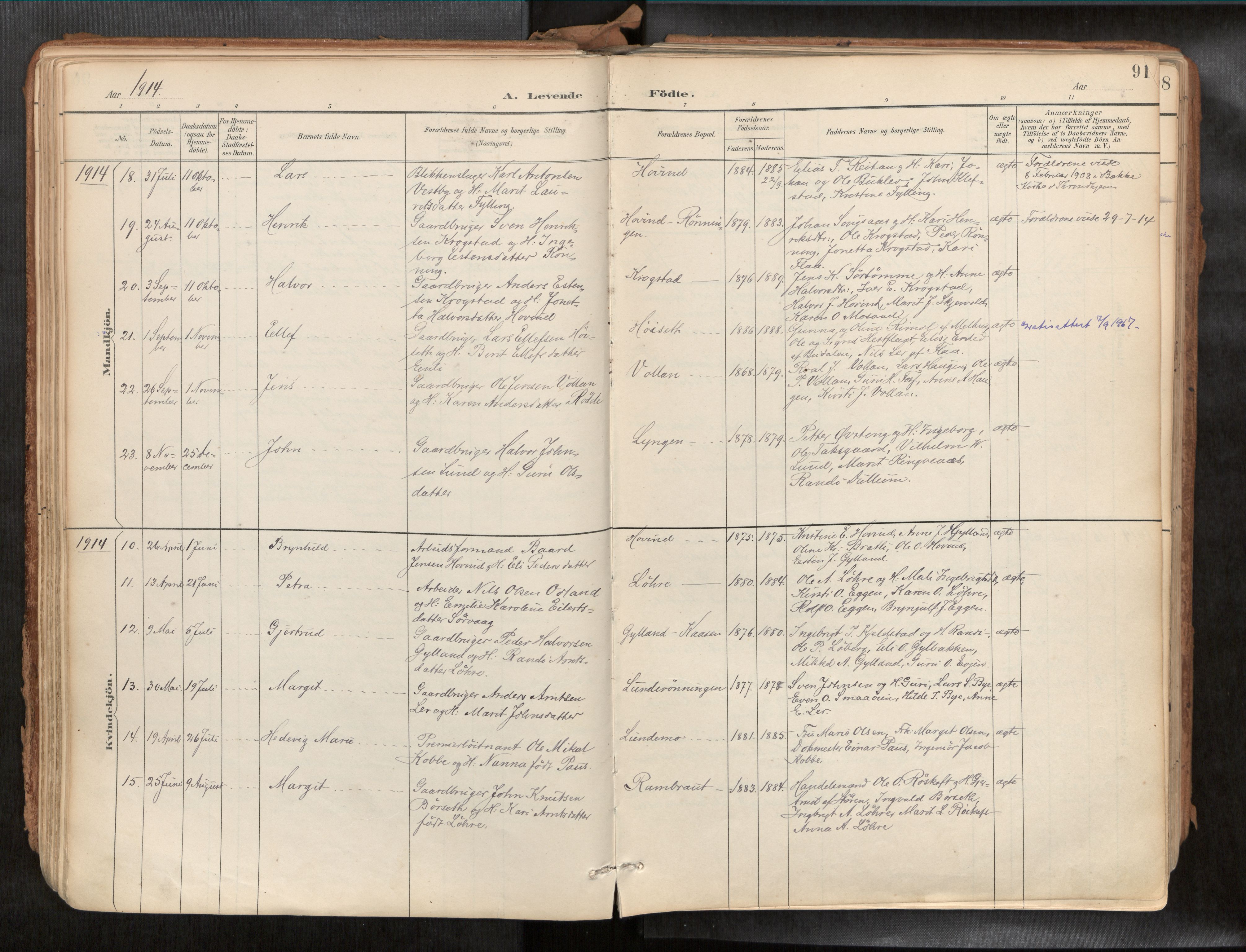 Ministerialprotokoller, klokkerbøker og fødselsregistre - Sør-Trøndelag, SAT/A-1456/692/L1105b: Parish register (official) no. 692A06, 1891-1934, p. 91