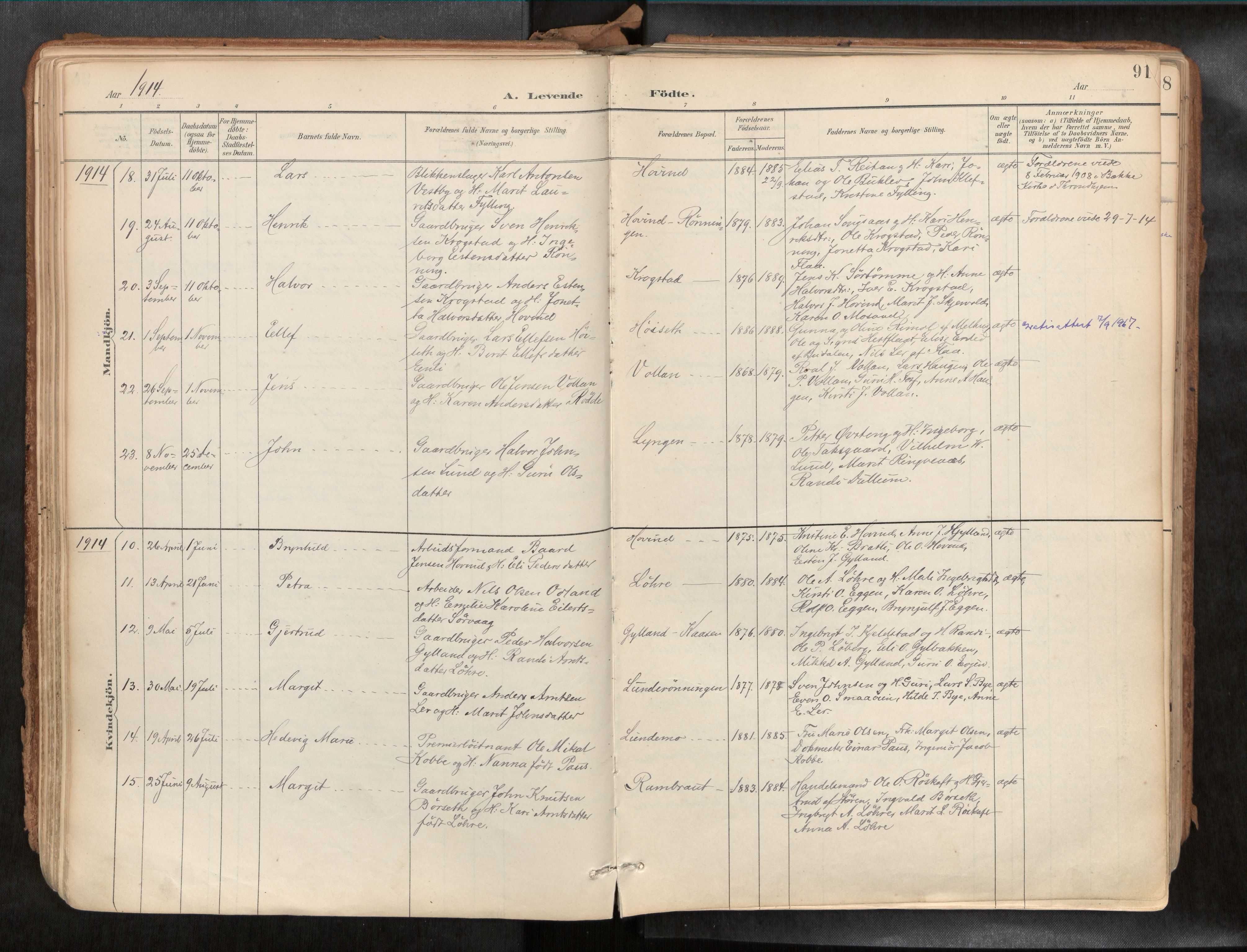 Ministerialprotokoller, klokkerbøker og fødselsregistre - Sør-Trøndelag, AV/SAT-A-1456/692/L1105b: Parish register (official) no. 692A06, 1891-1934, p. 91