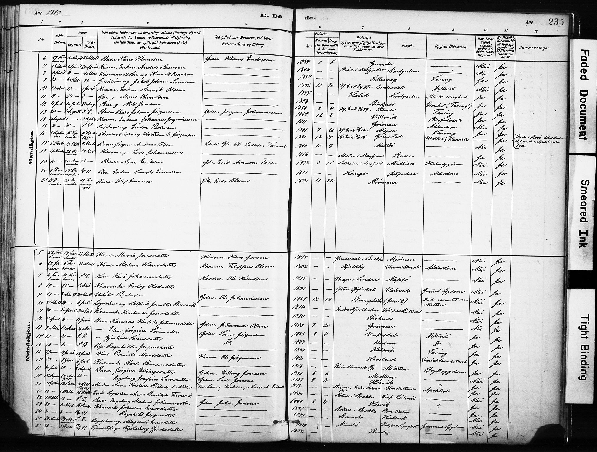 Gulen sokneprestembete, SAB/A-80201/H/Haa/Haab/L0001: Parish register (official) no. B 1, 1881-1905, p. 235