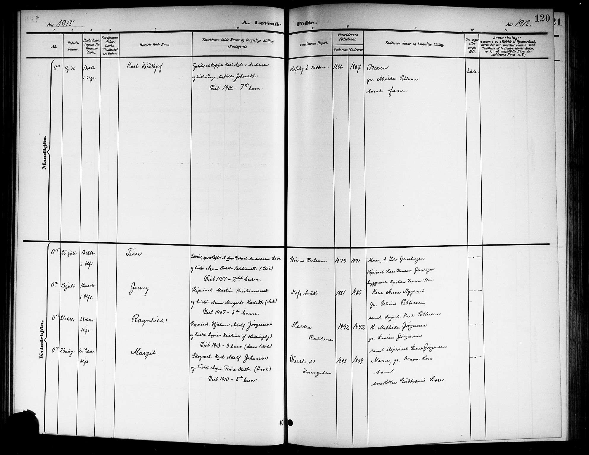 Norderhov kirkebøker, SAKO/A-237/G/Gb/L0002: Parish register (copy) no. II 2, 1891-1921, p. 120